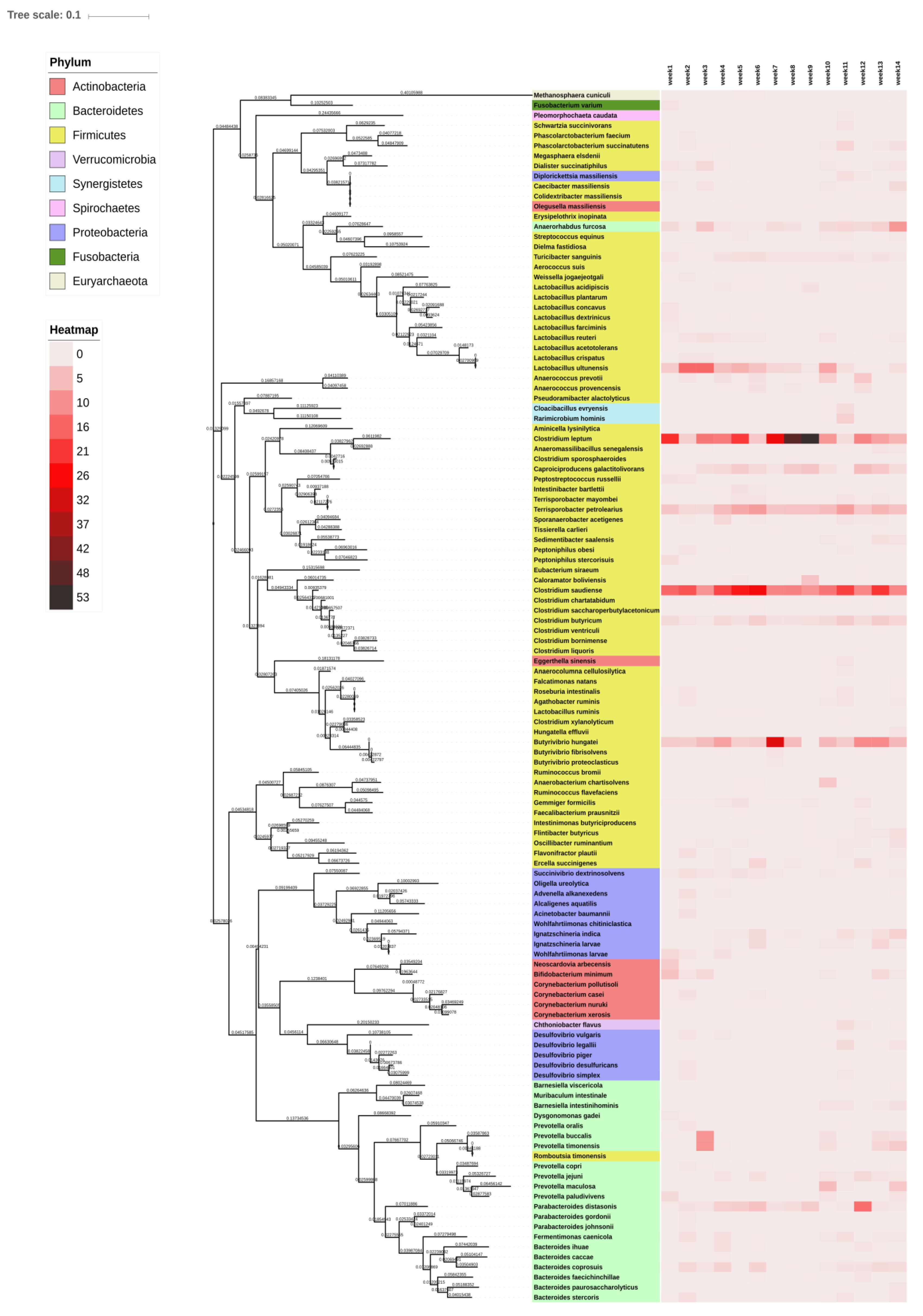 Animals 10 01372 g005