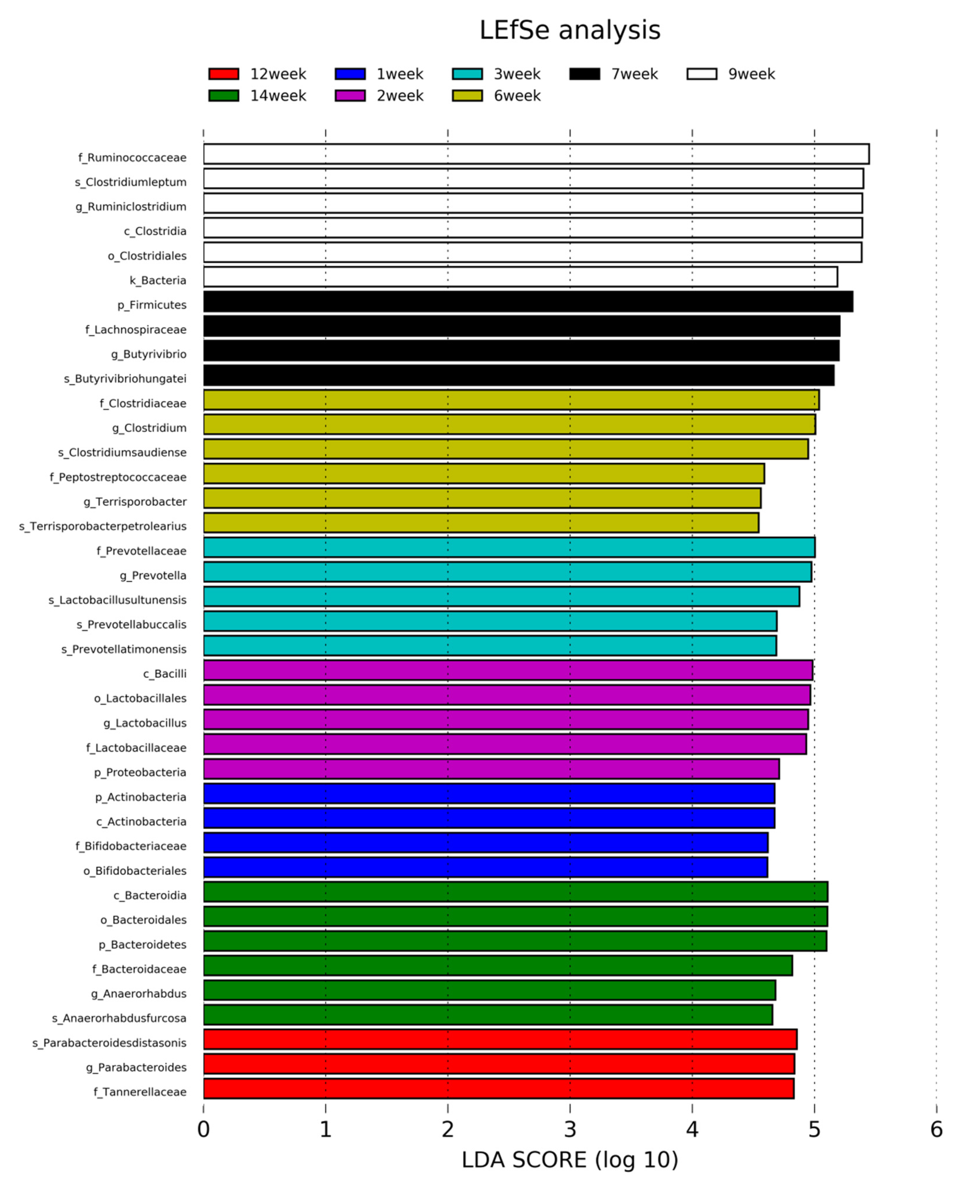 Animals 10 01372 g006