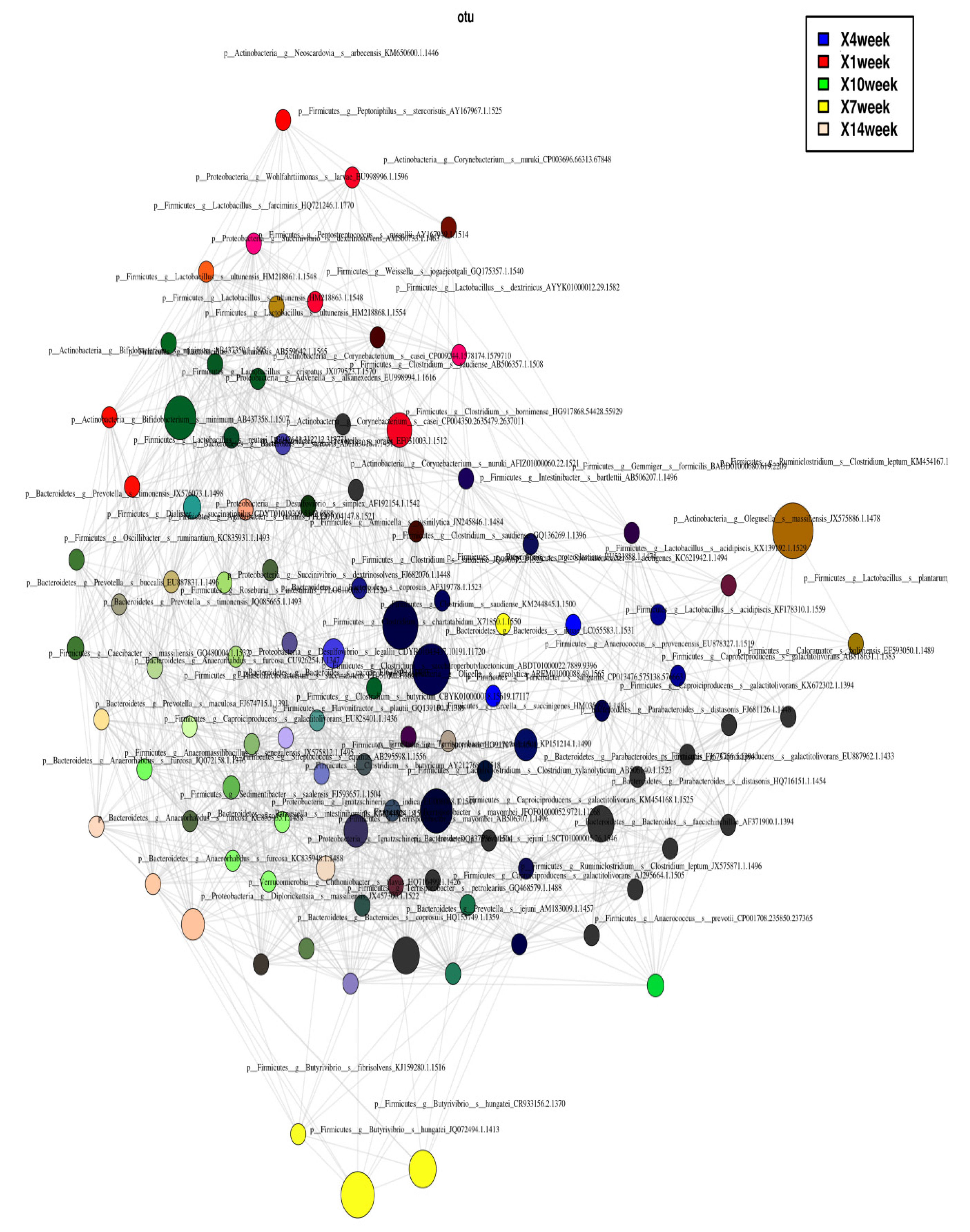 Animals 10 01372 g008