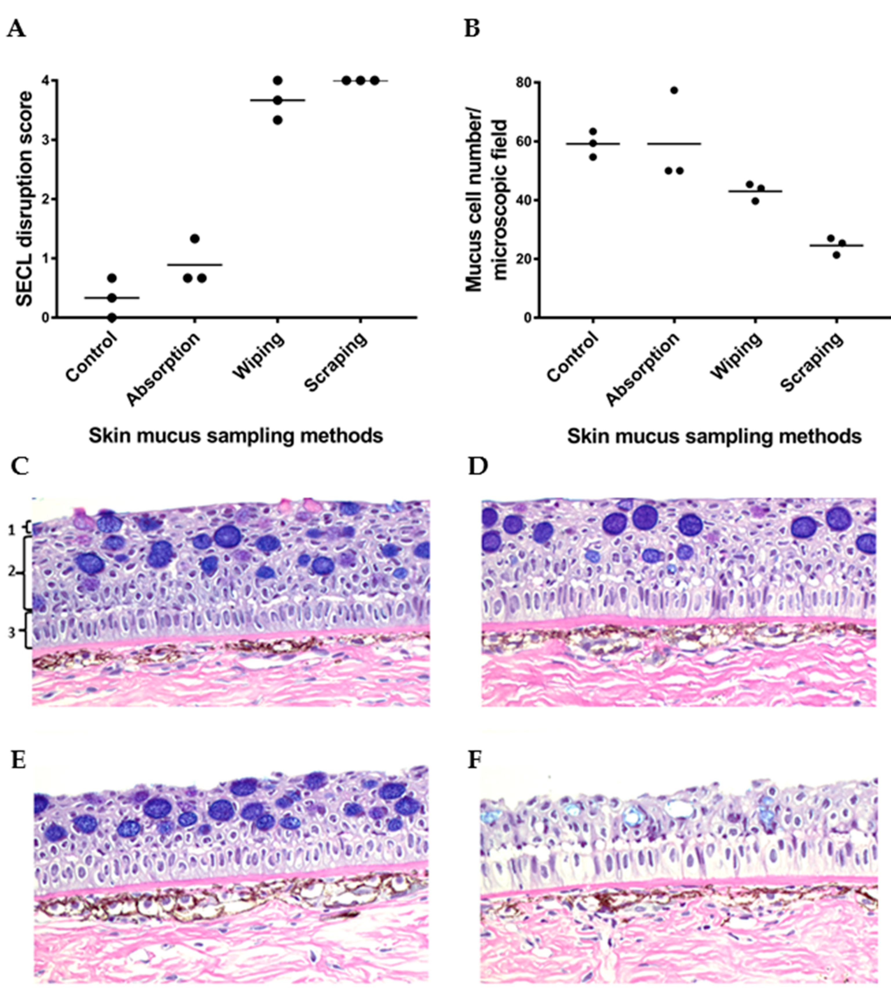 Animals 10 01374 g005