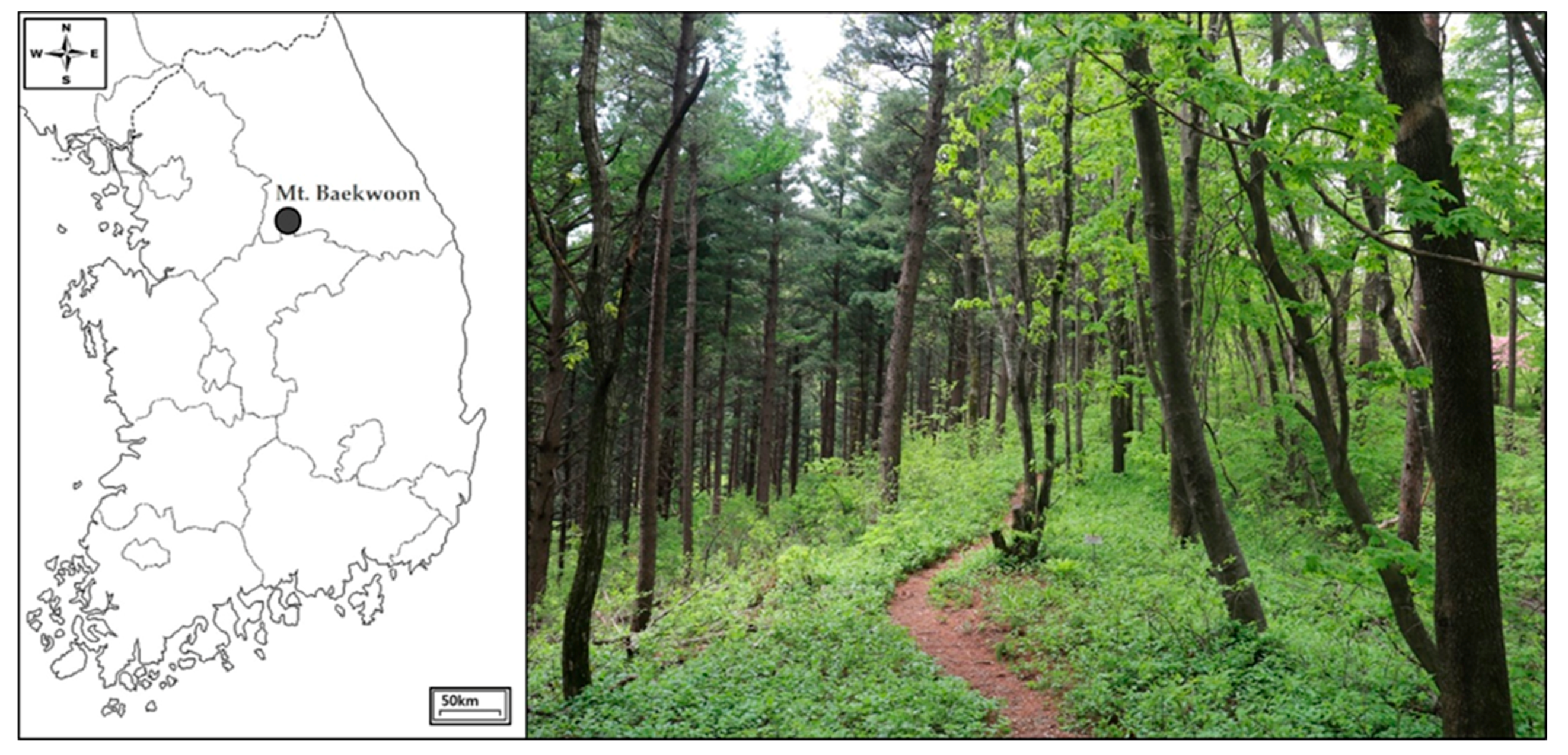 Animals 10 01378 g001 Animals 10 01378 g001