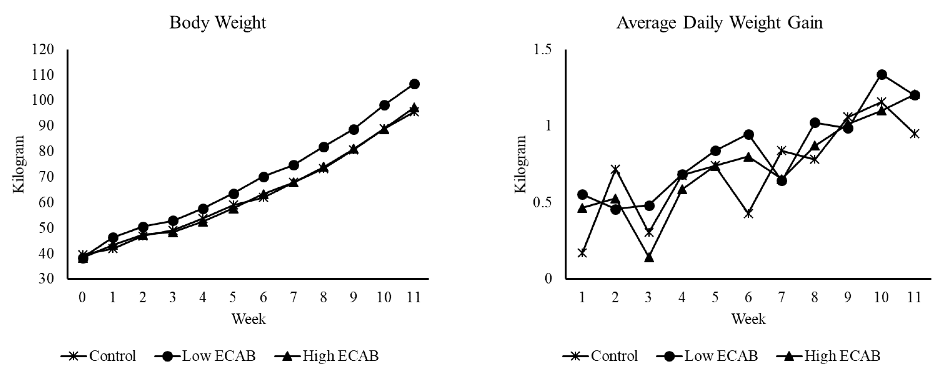 Animals 10 01380 g002