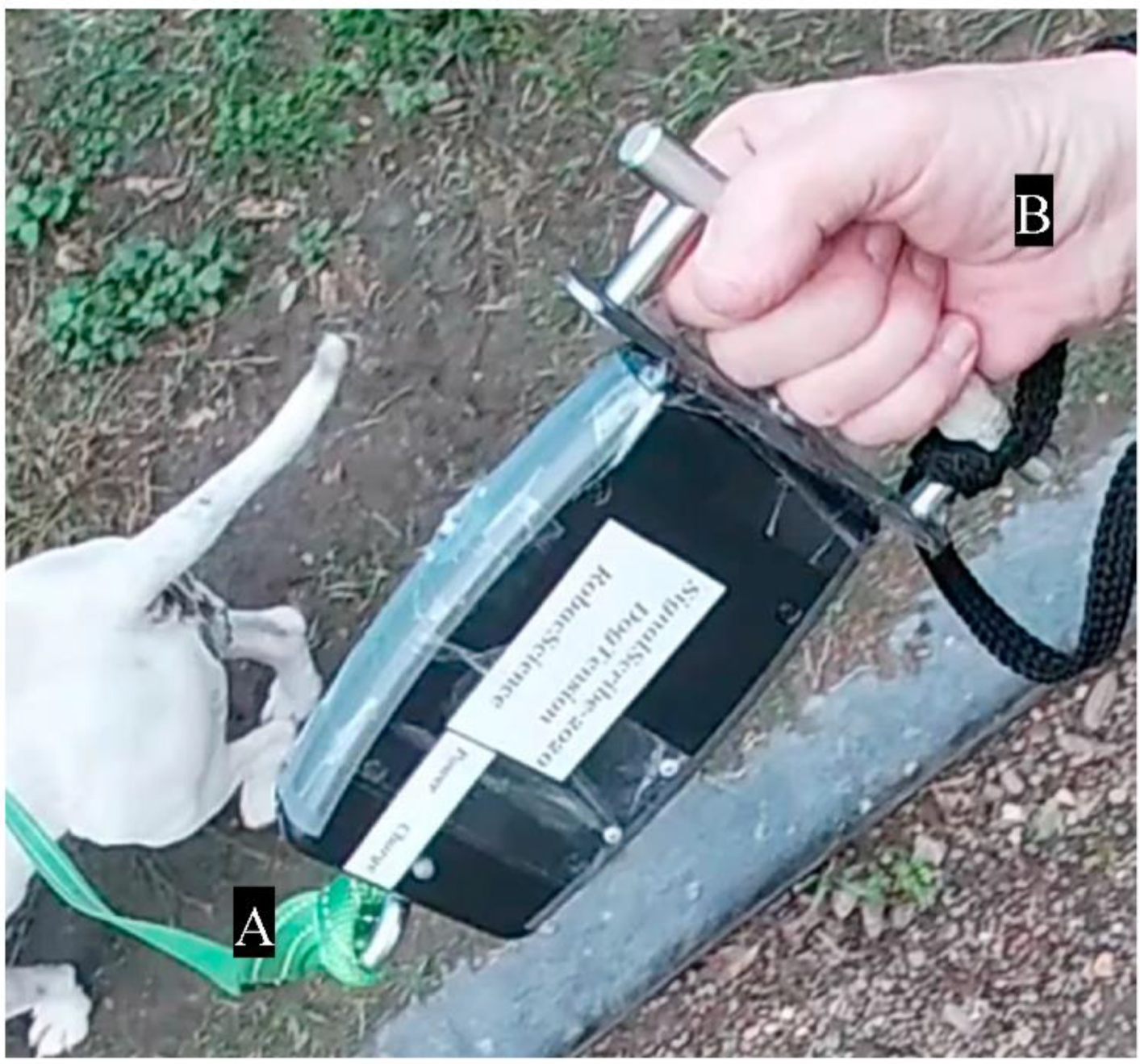 How To Recalibrate Your Own Scales – Meltrons Australia