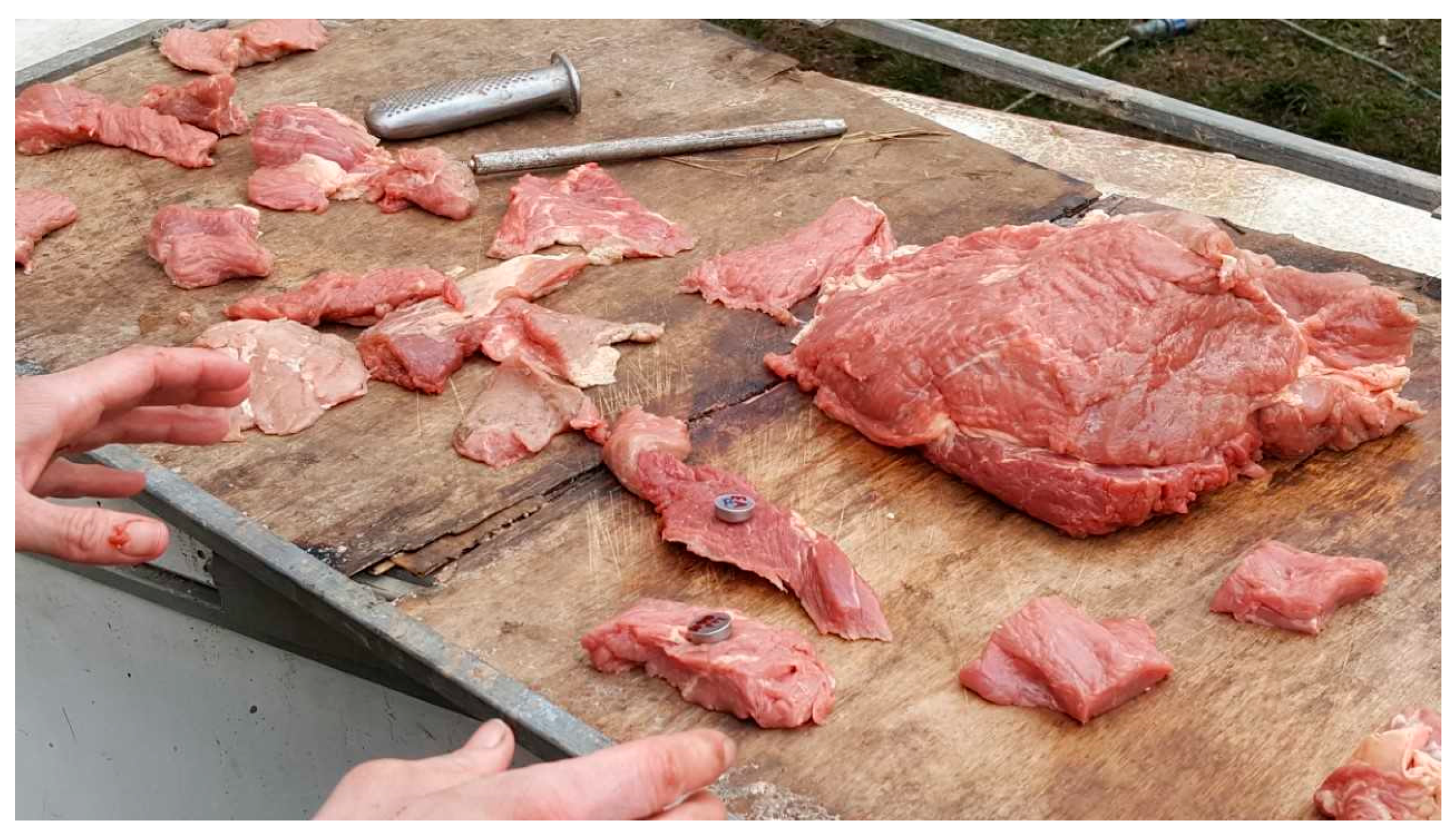 Animals 10 01388 g002