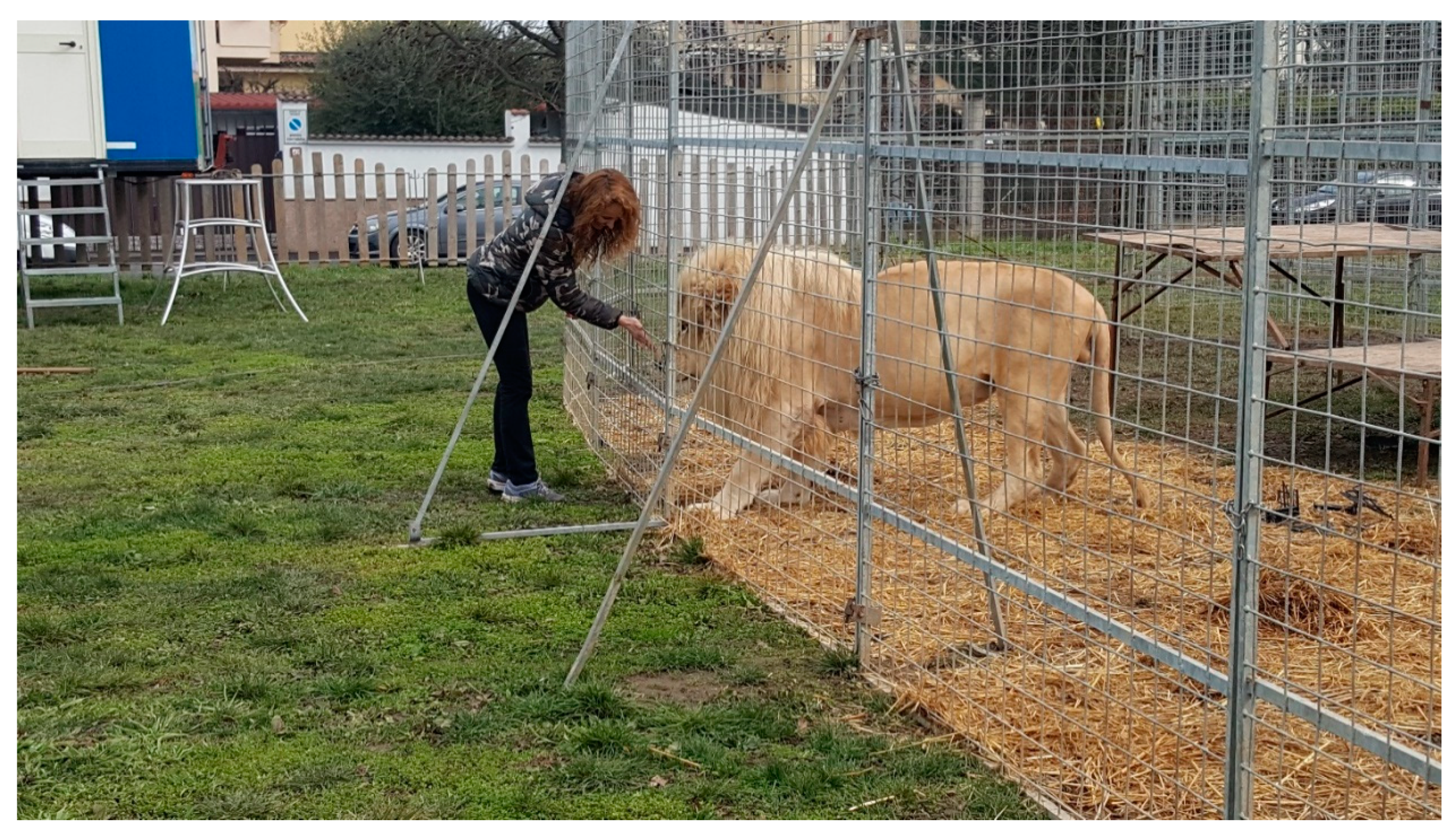 Animals 10 01388 g003