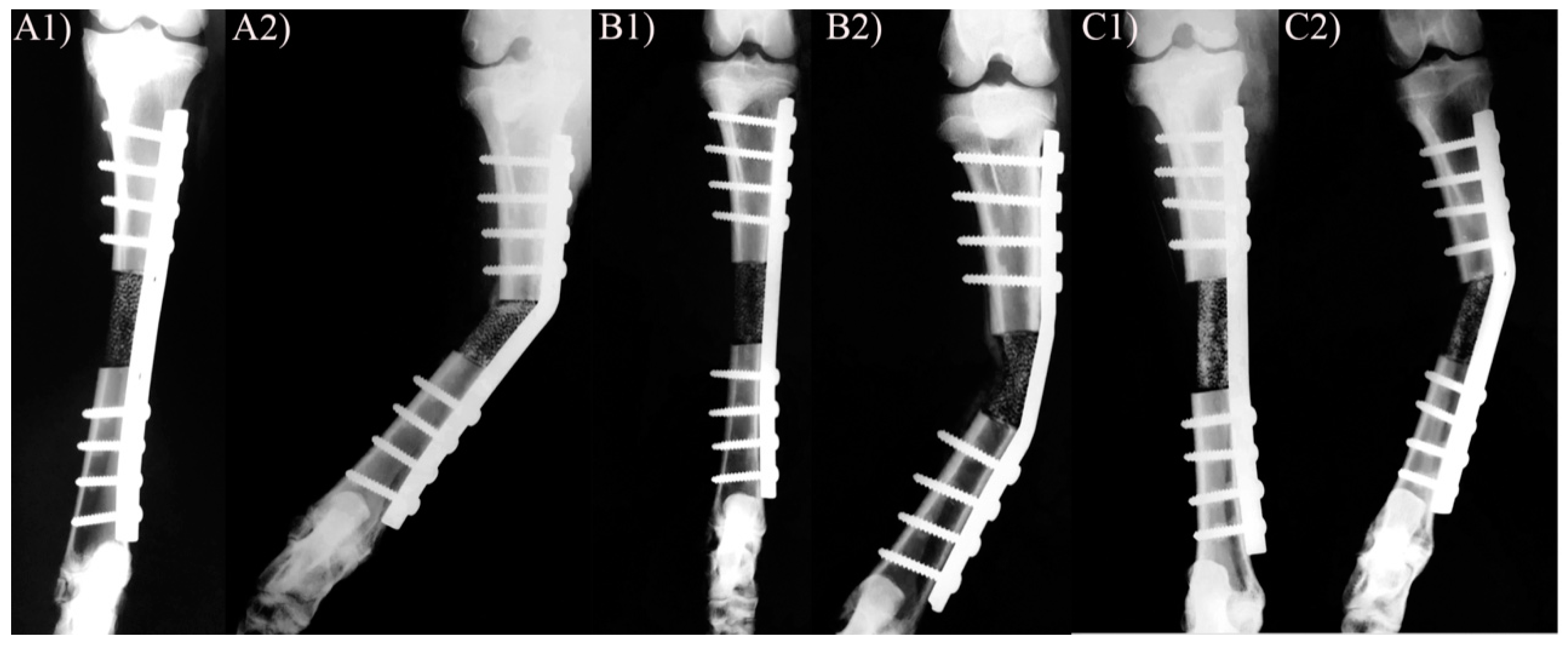 Animals 10 01389 g003 Animals 10 01389 g003