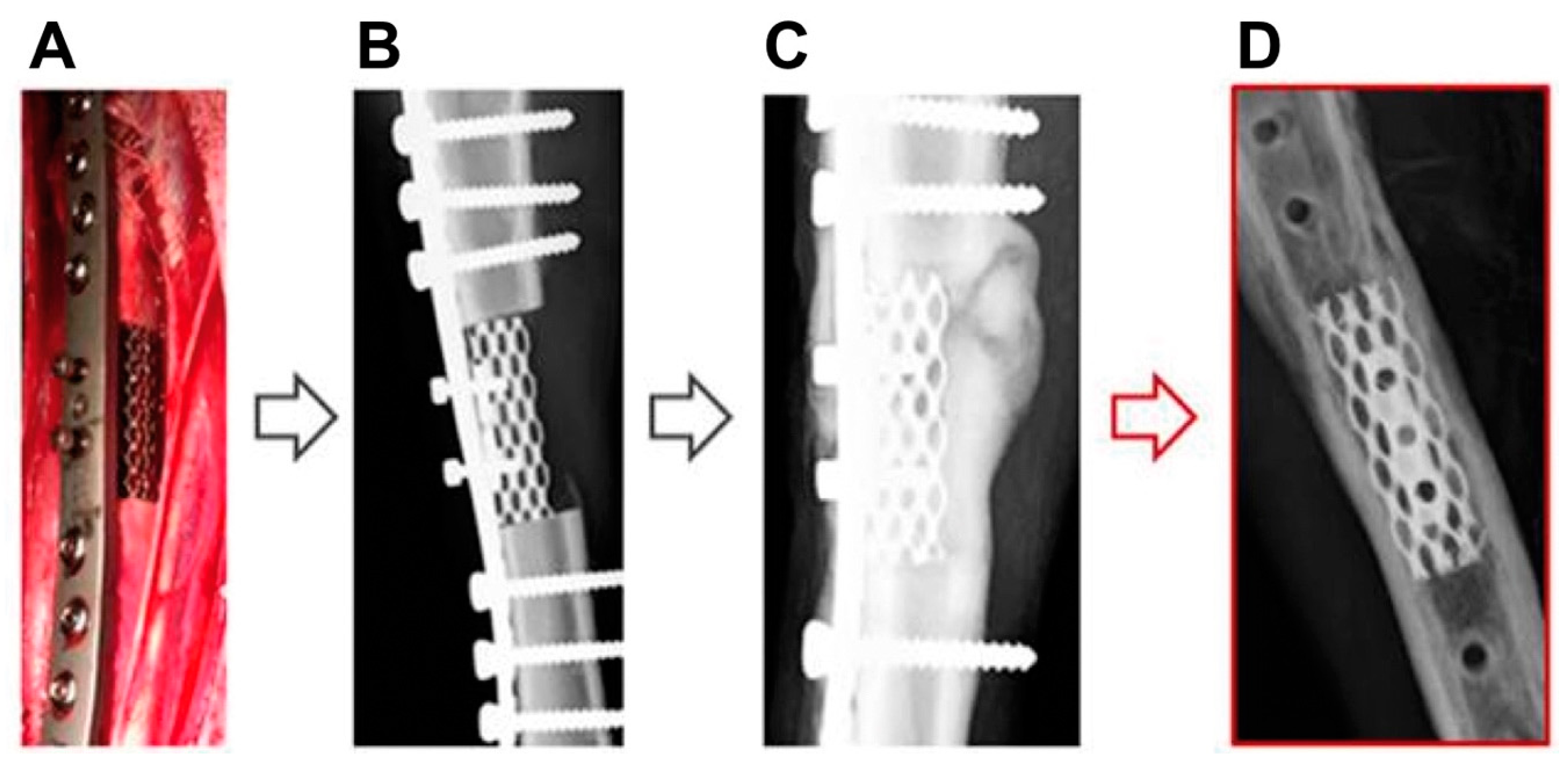 Animals 10 01389 g004 Animals 10 01389 g004