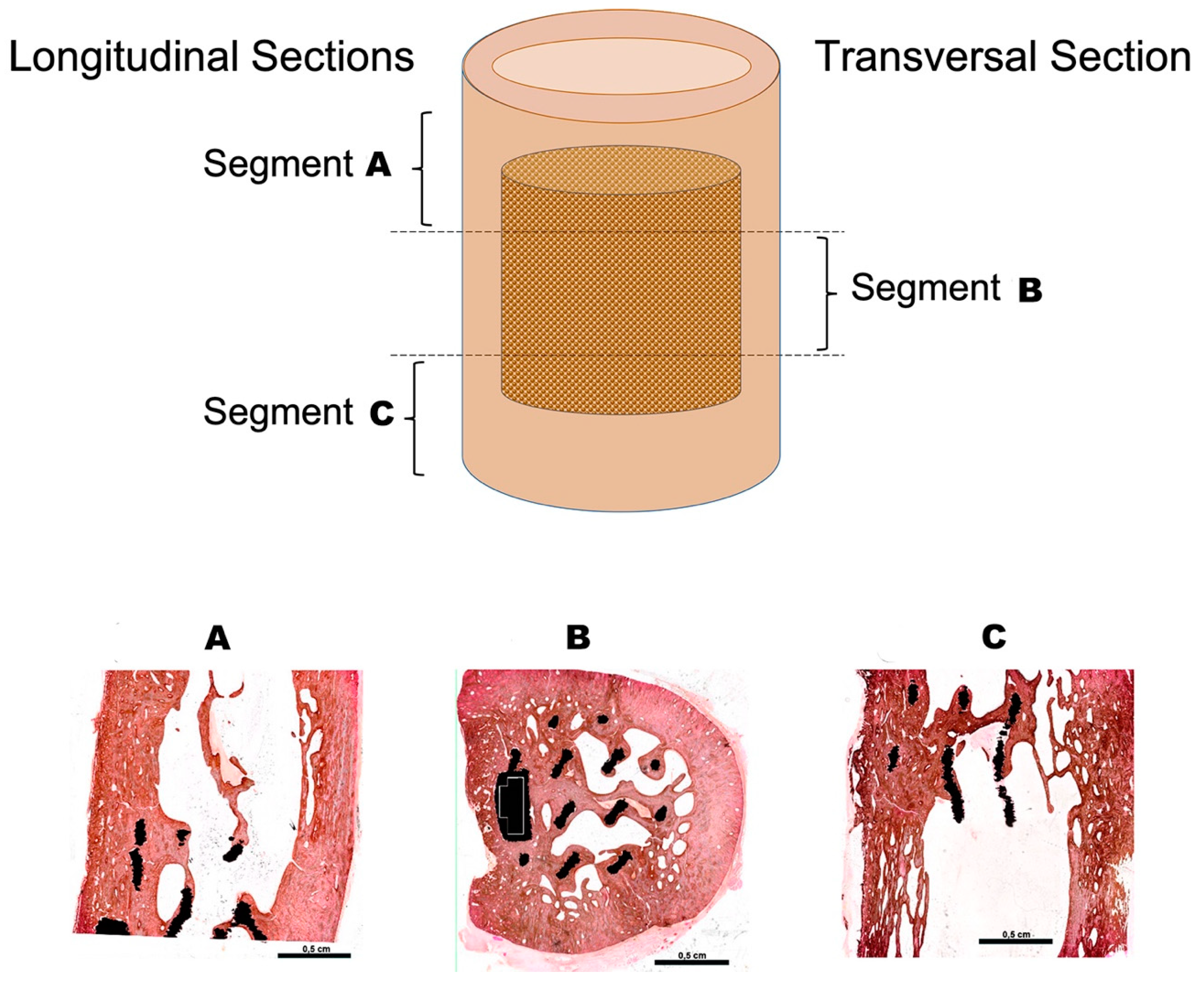 Animals 10 01389 g005 Animals 10 01389 g005