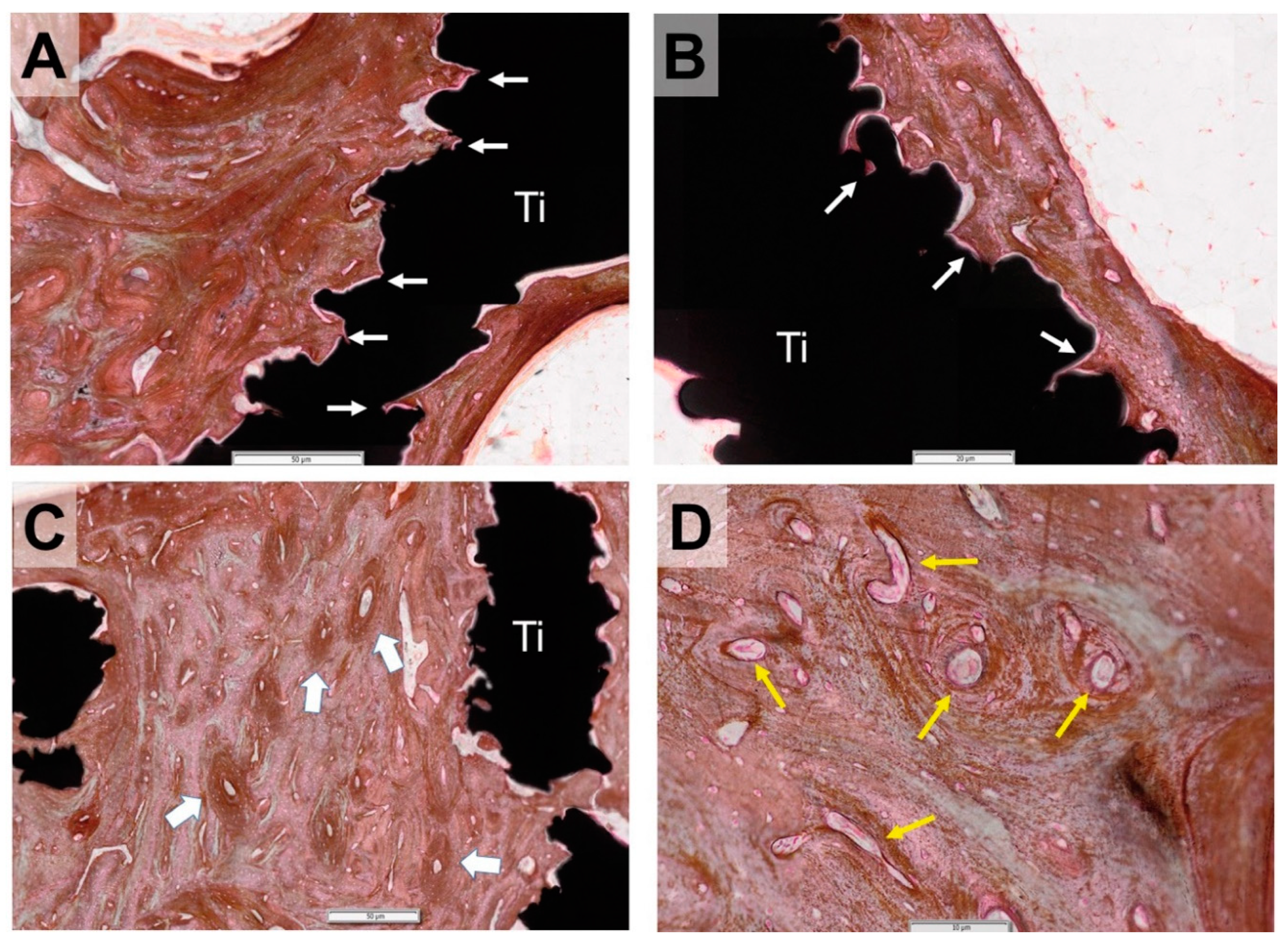Animals 10 01389 g006 Animals 10 01389 g006