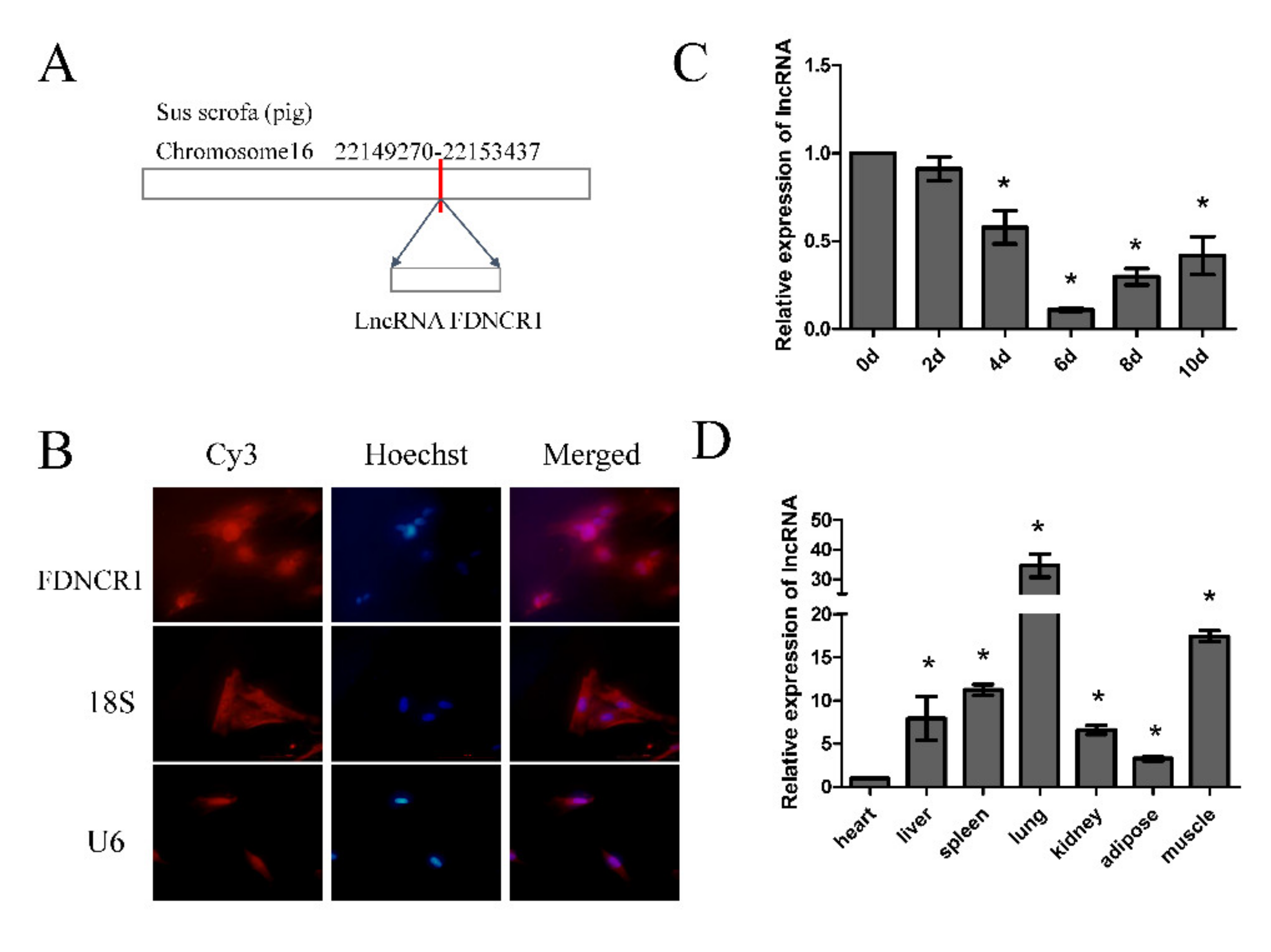 Animals 10 01399 g003 Animals 10 01399 g003