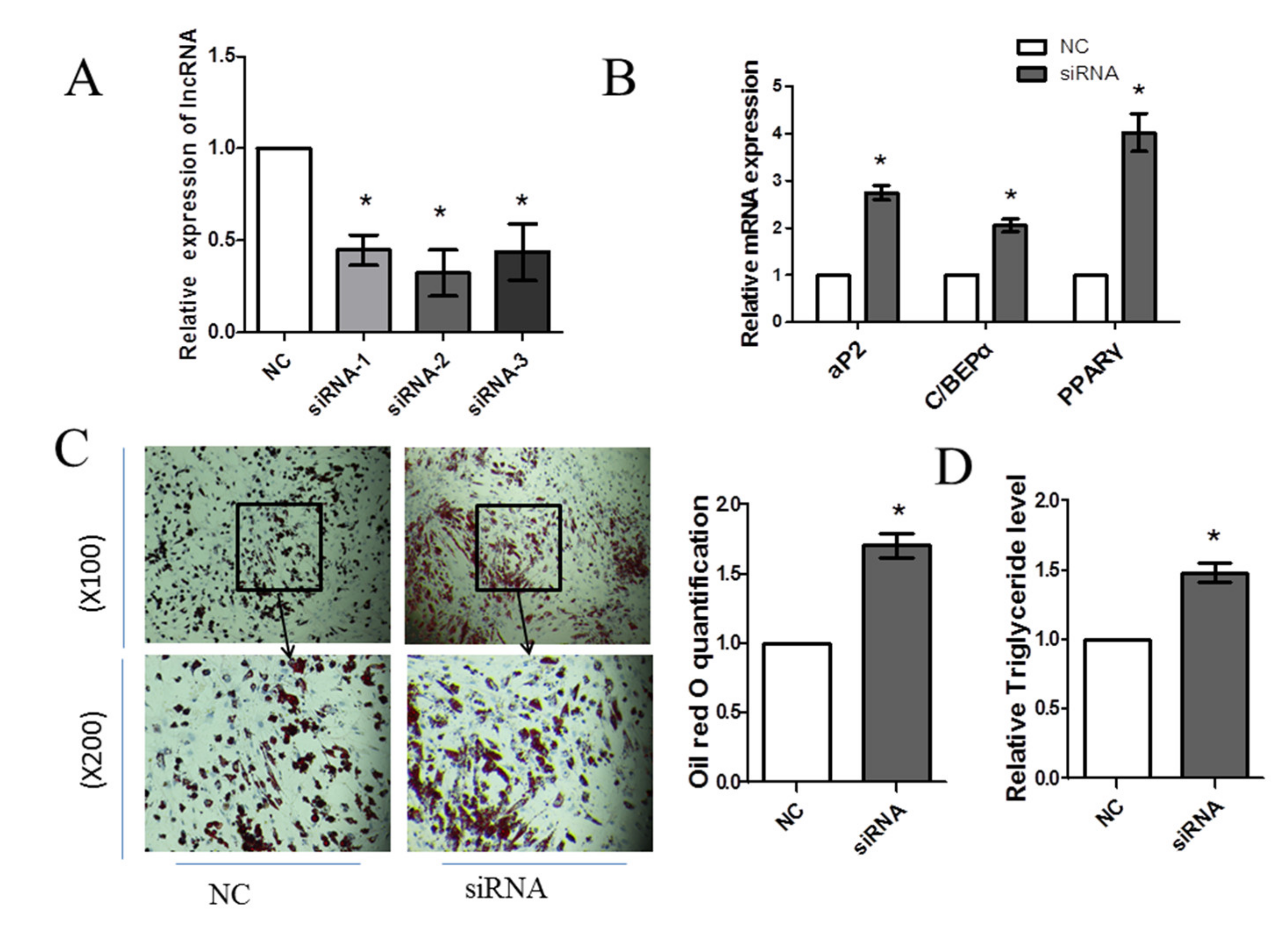 Animals 10 01399 g004 Animals 10 01399 g004