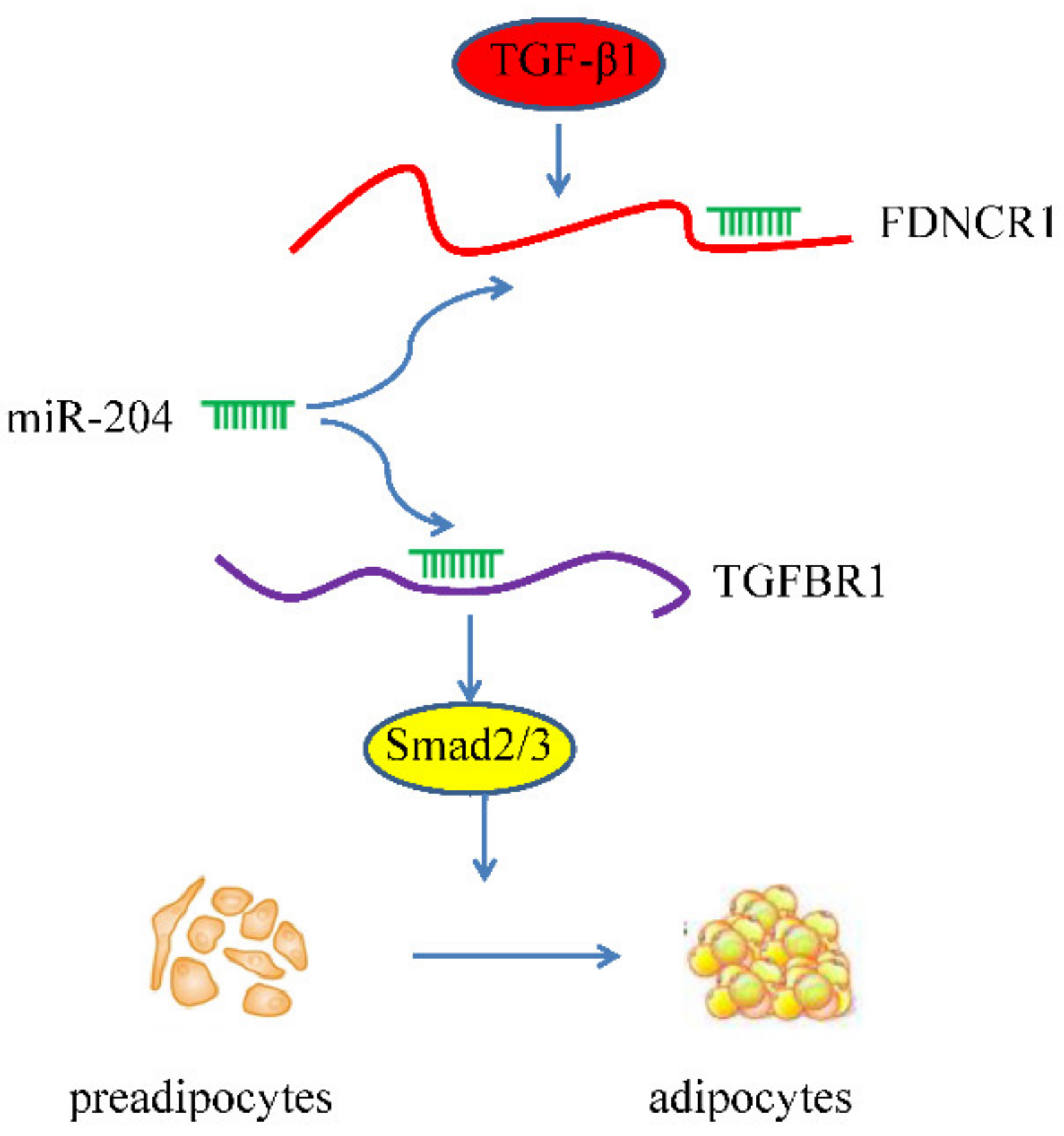 Animals 10 01399 g006 Animals 10 01399 g006