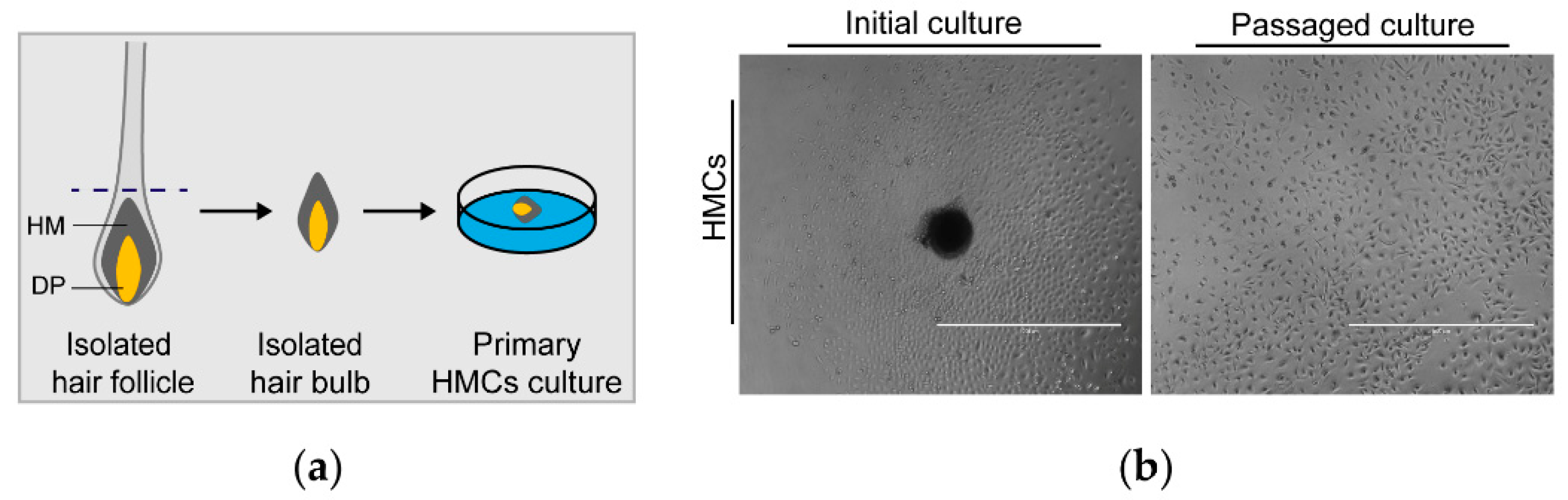 Animals 10 01400 g001 Animals 10 01400 g001