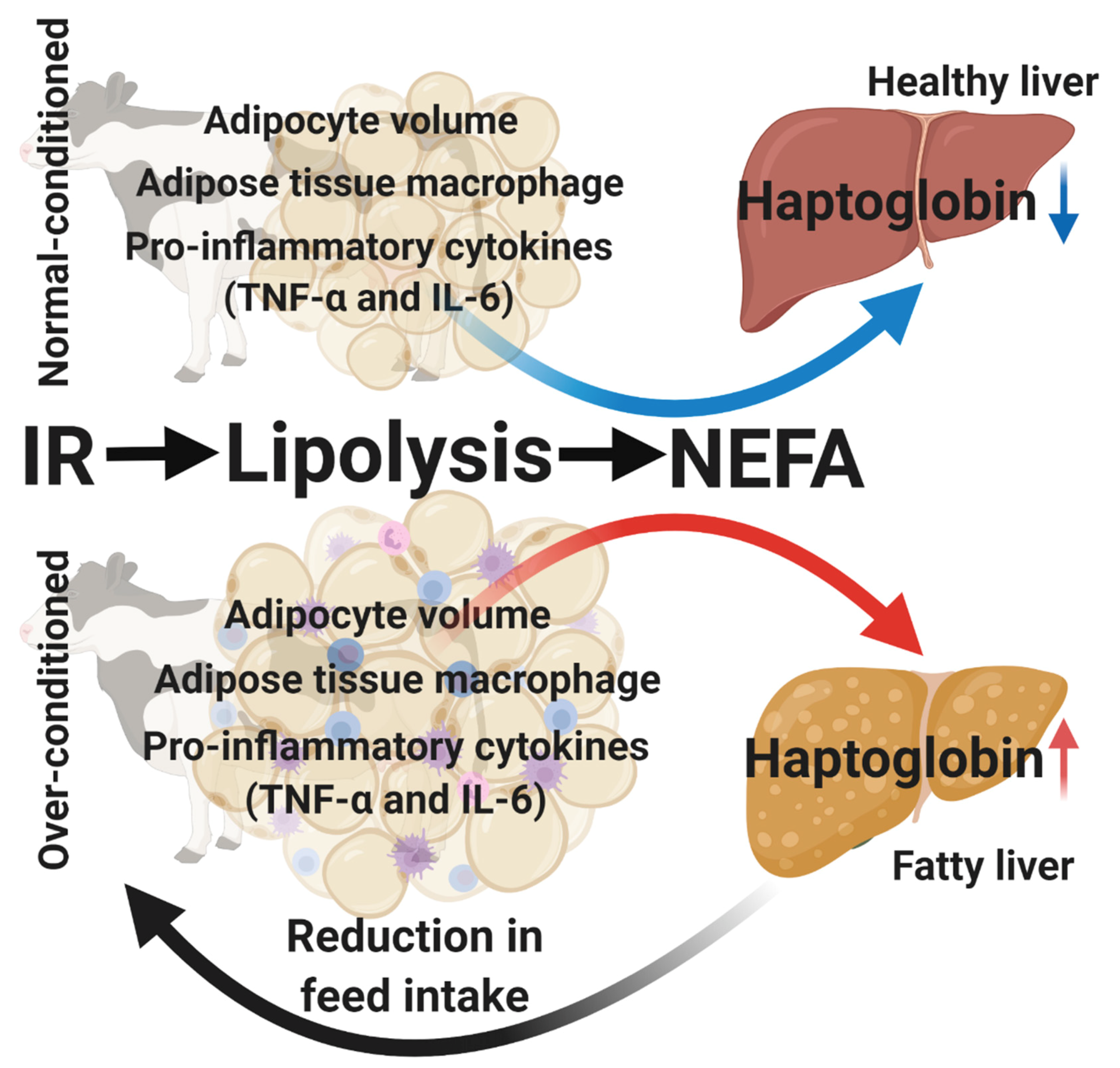 Animals 10 01419 g003 Animals 10 01419 g003