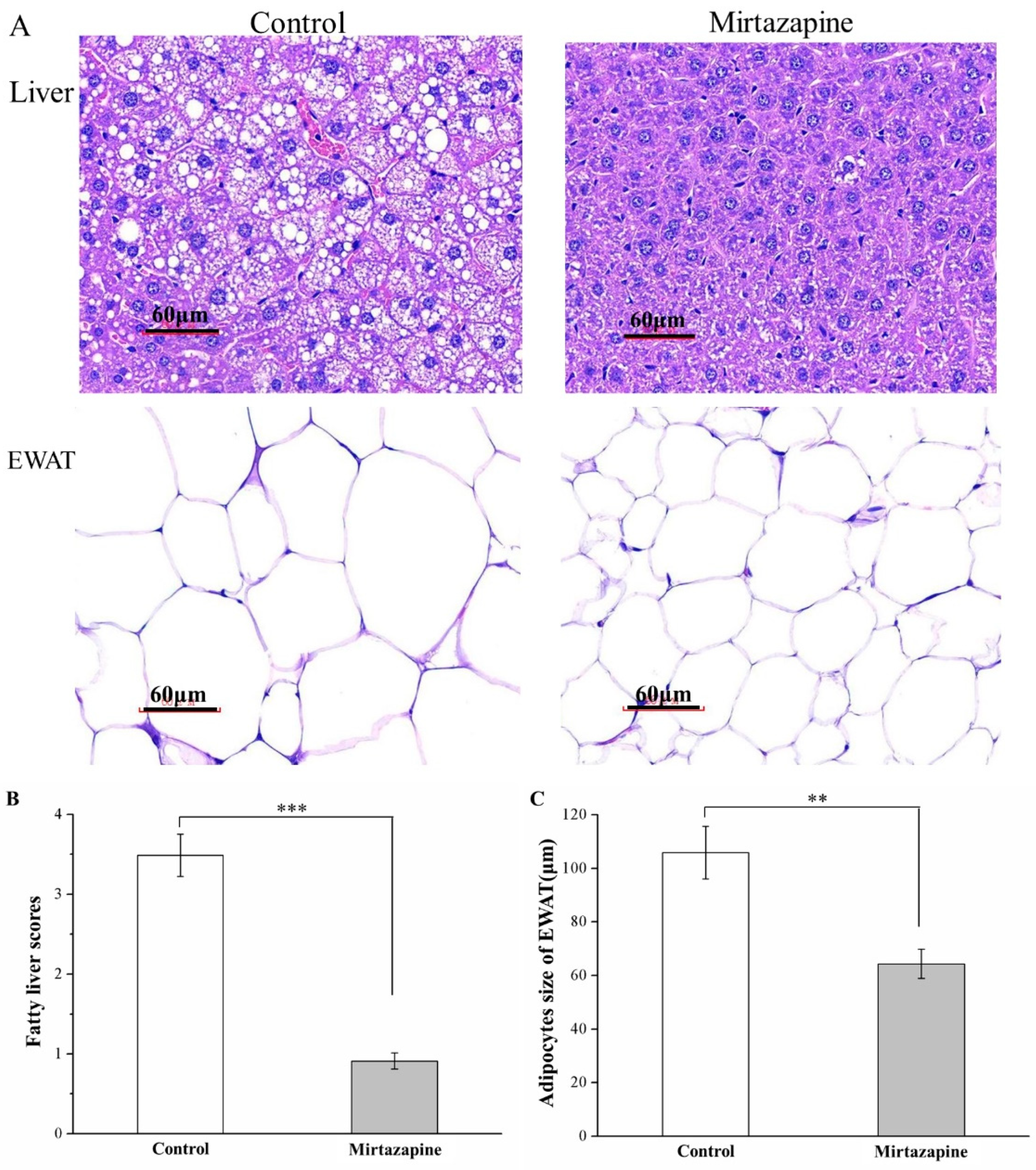 Animals 10 01423 g004