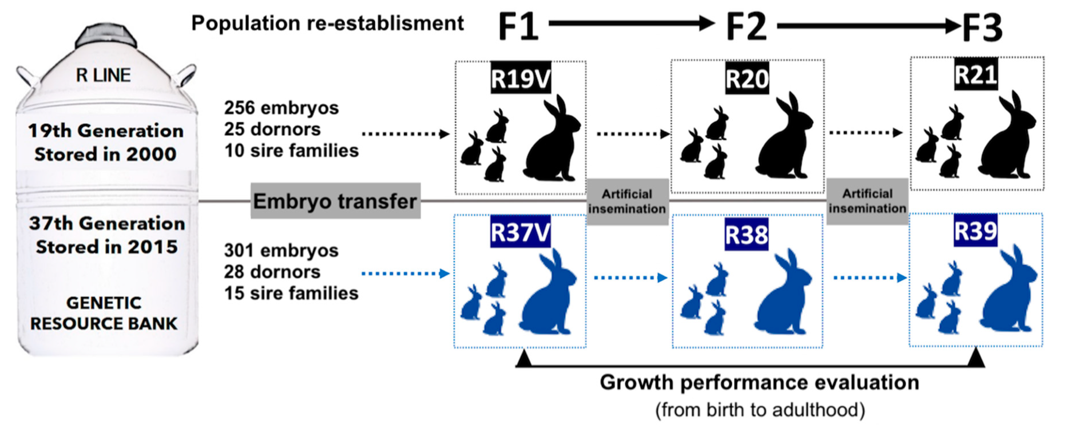 Animals 10 01436 g001
