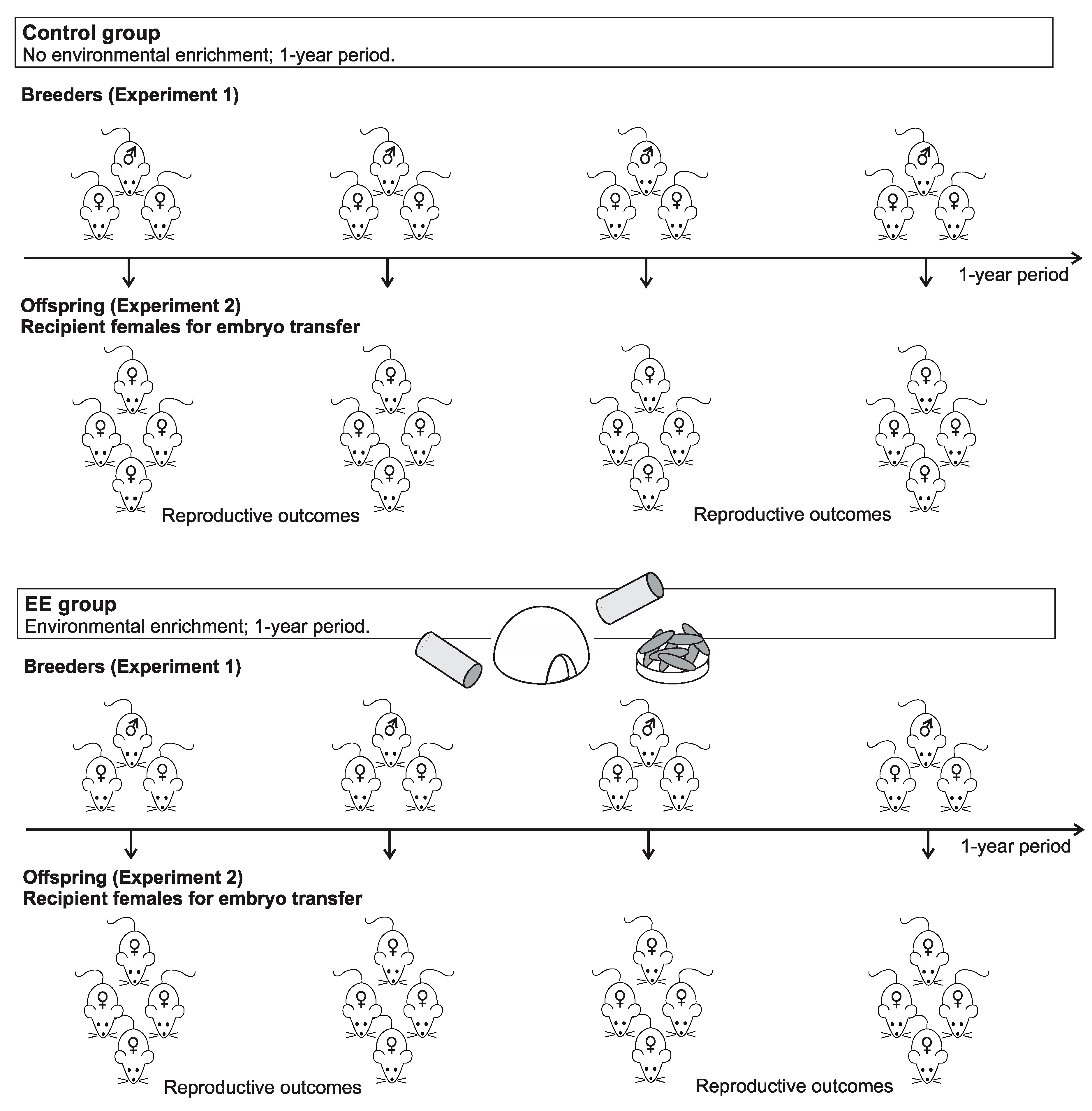 Animals 10 01438 g001 Animals 10 01438 g001