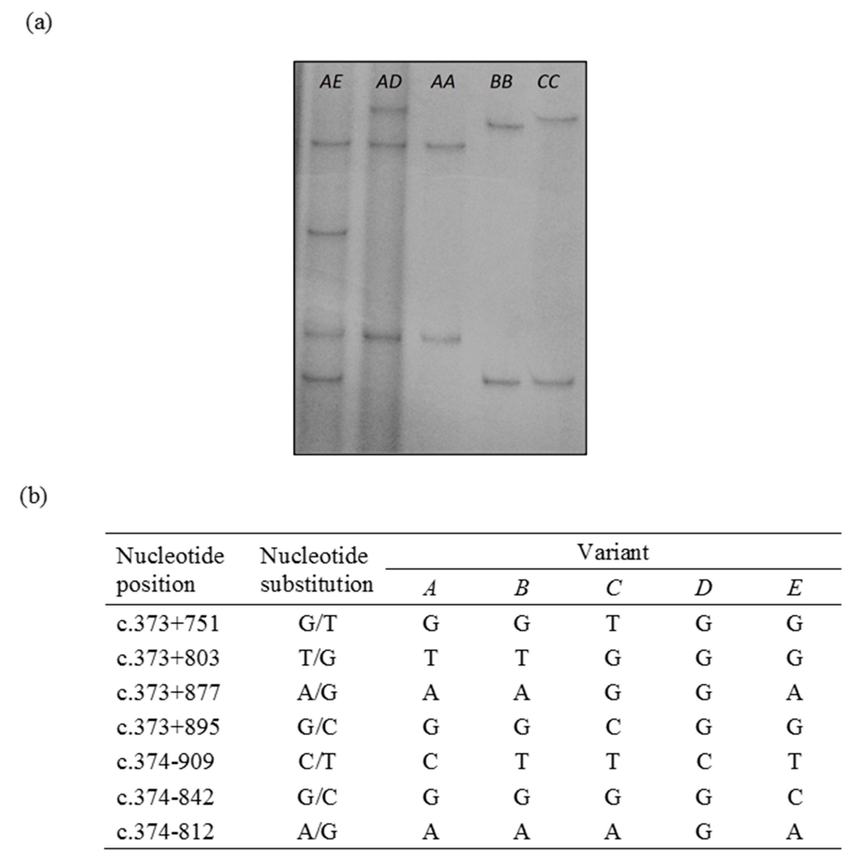 Animals 10 01447 g001 Animals 10 01447 g001