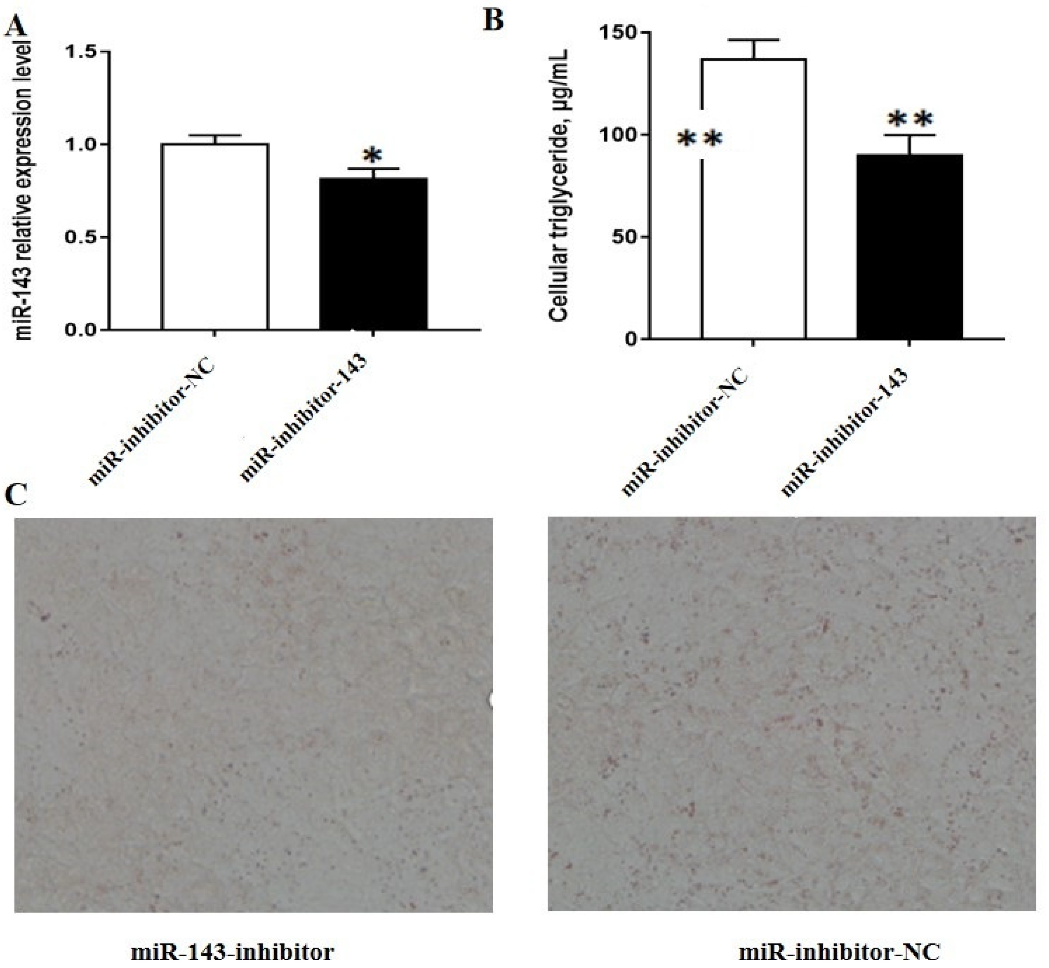 Animals 10 01453 g002 Animals 10 01453 g002