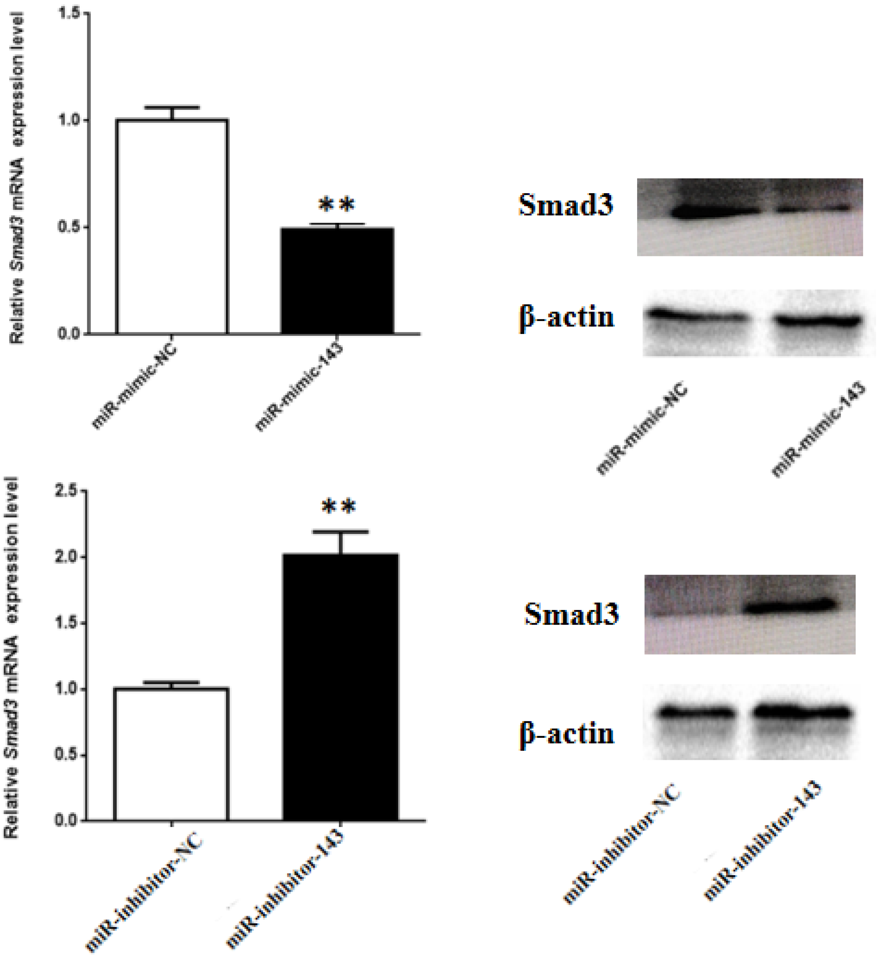 Animals 10 01453 g004 Animals 10 01453 g004