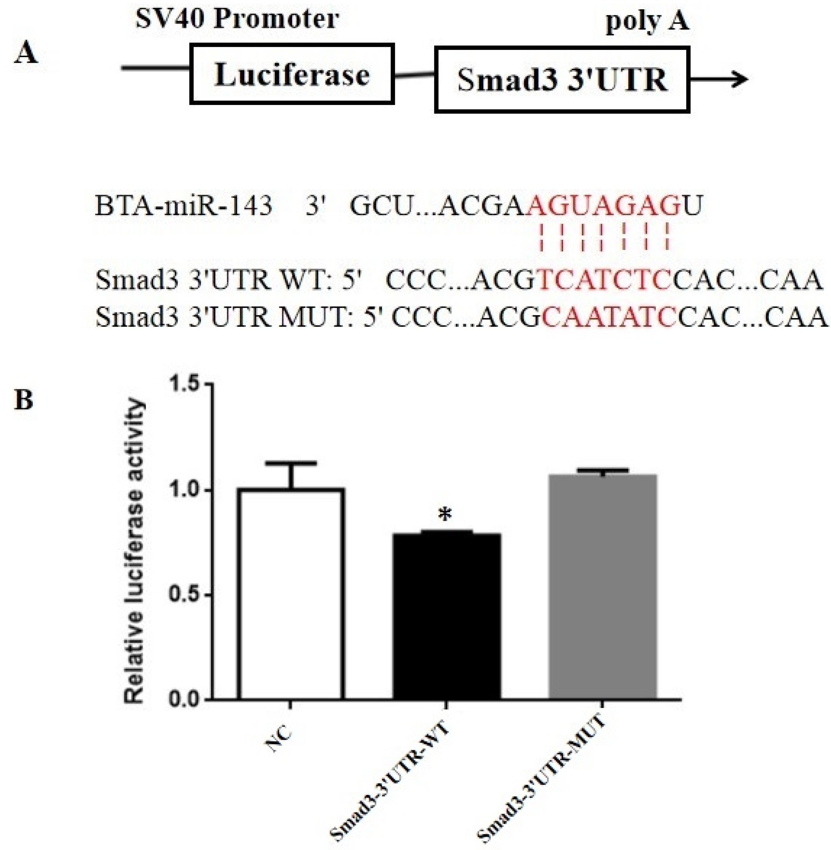 Animals 10 01453 g005 Animals 10 01453 g005