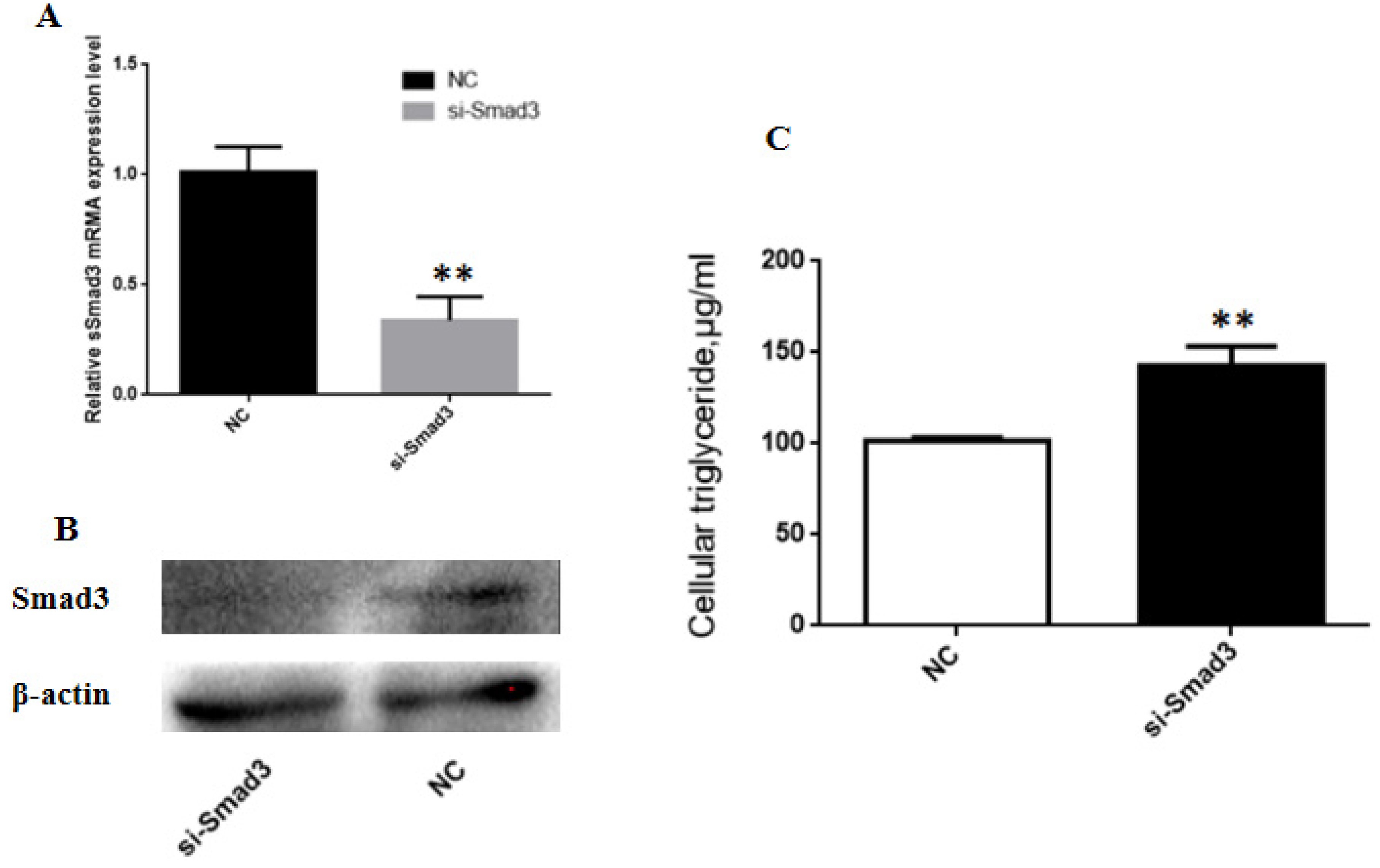 Animals 10 01453 g006 Animals 10 01453 g006