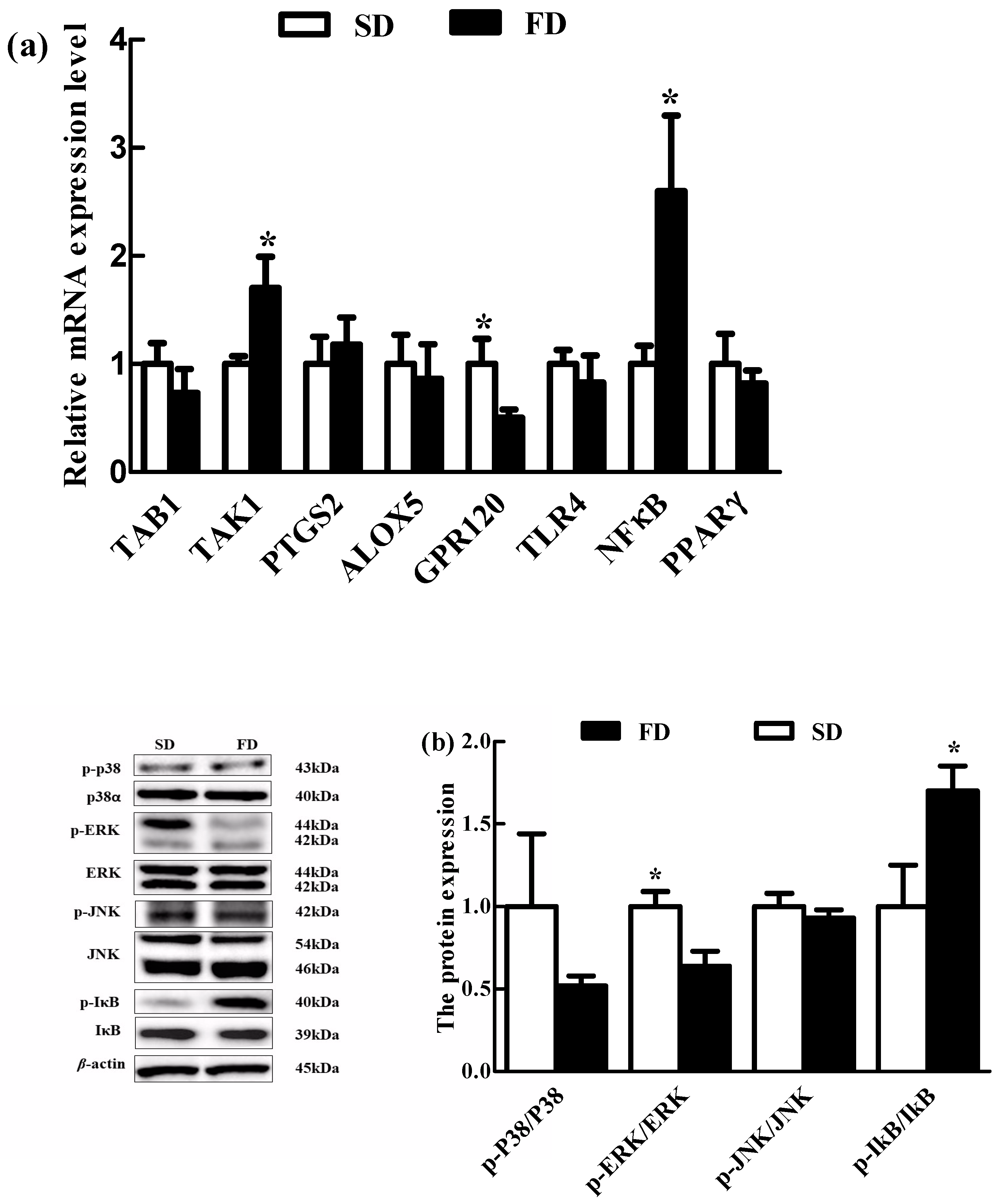 Animals 10 01455 g003 Animals 10 01455 g003