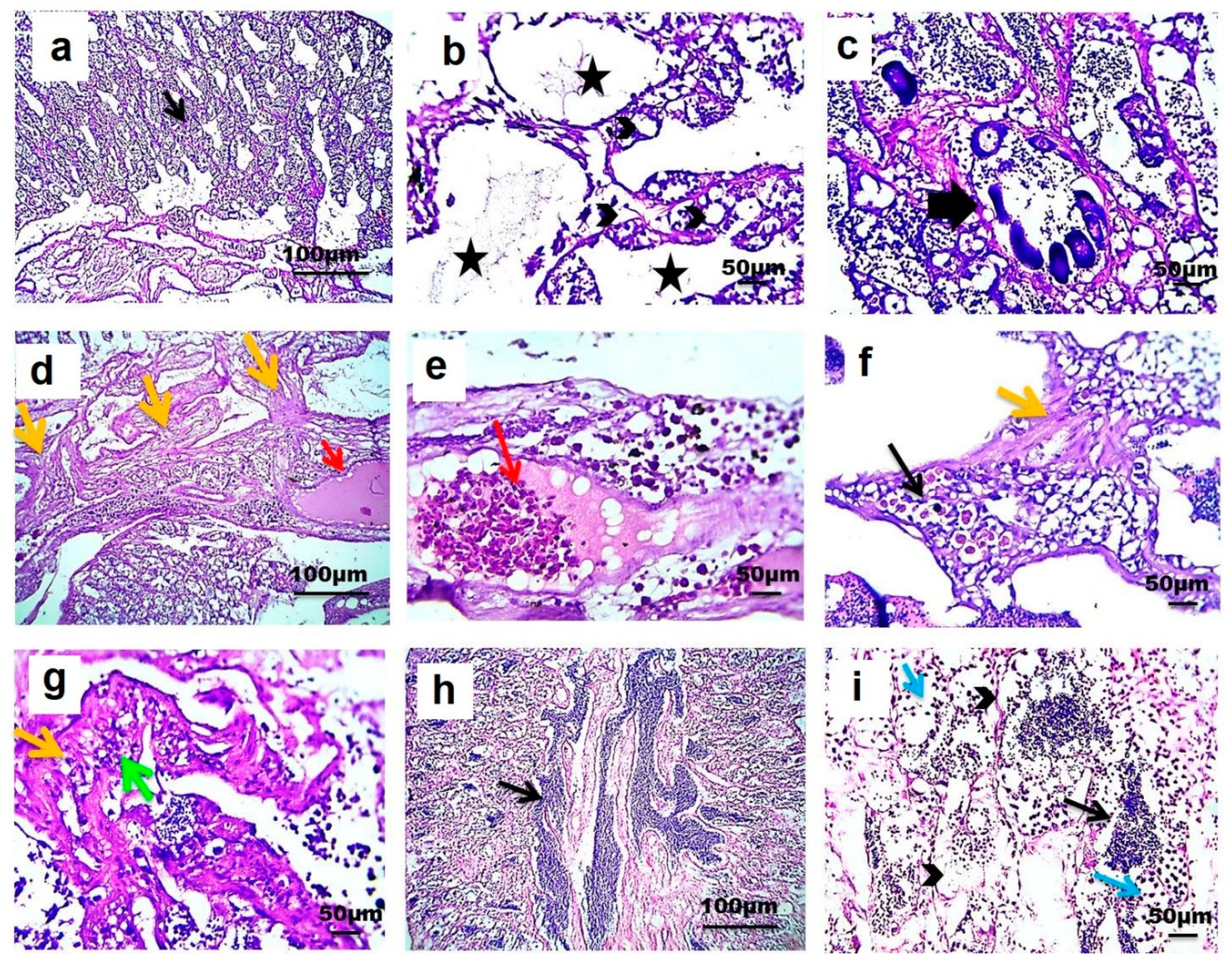 Animals 10 01475 g006 Animals 10 01475 g006