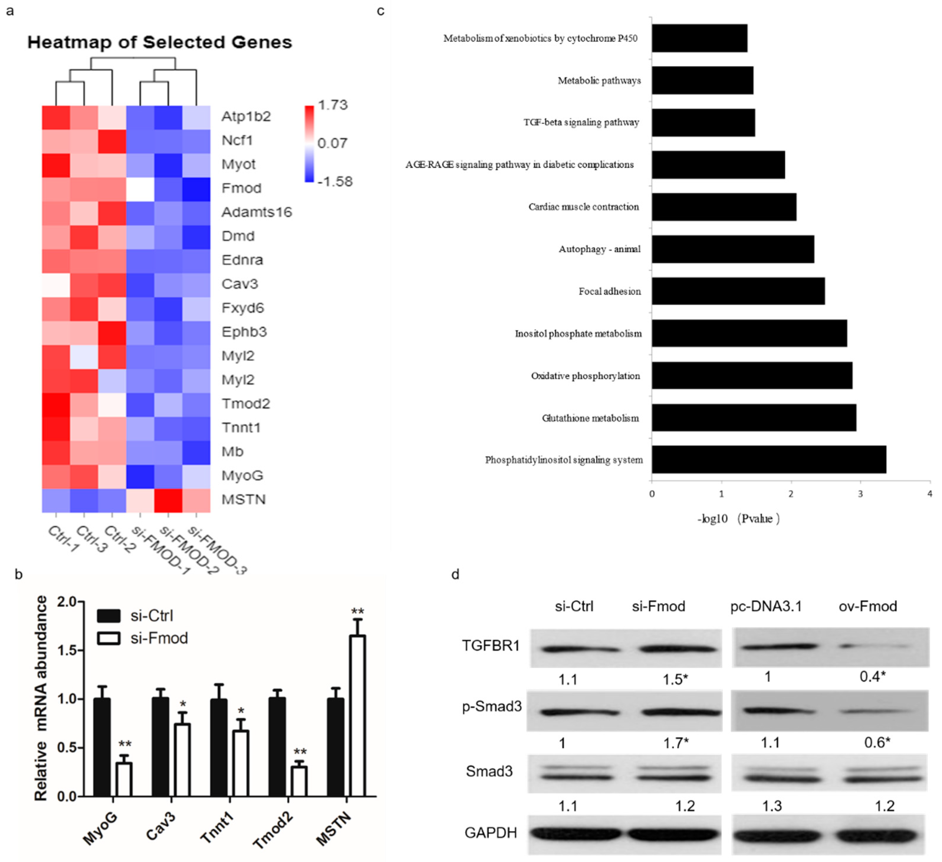 Animals 10 01477 g005 Animals 10 01477 g005