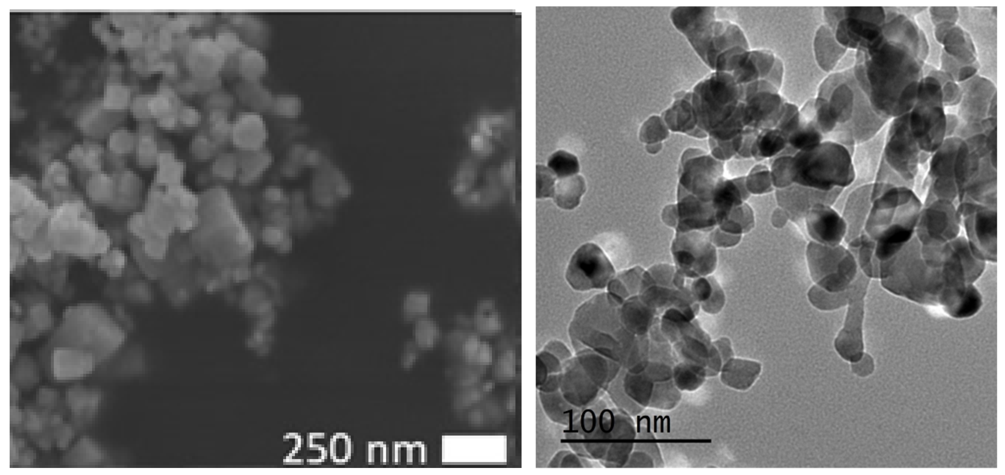 Animals 10 01482 g001