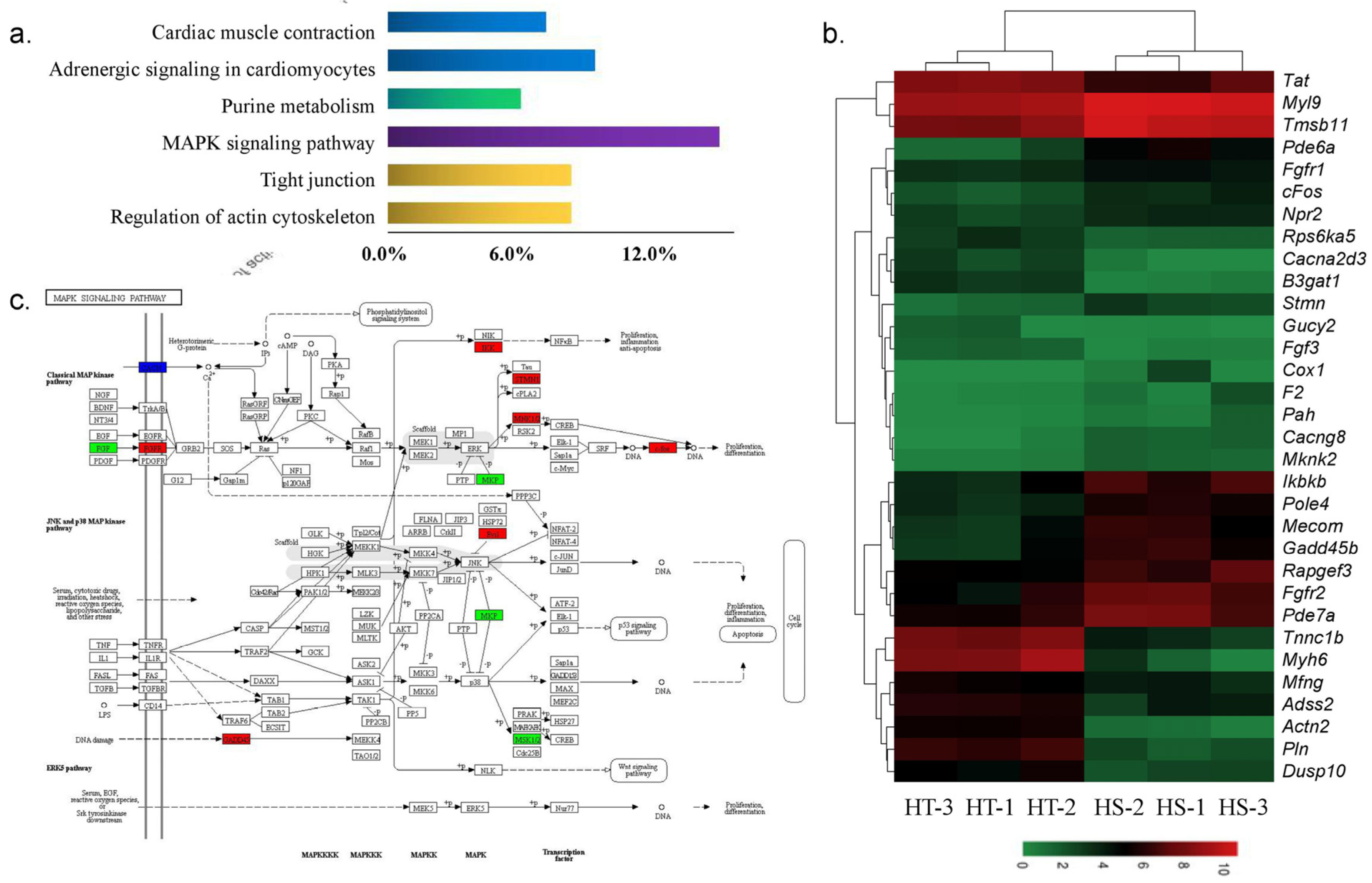 Animals 10 01483 g005 Animals 10 01483 g005