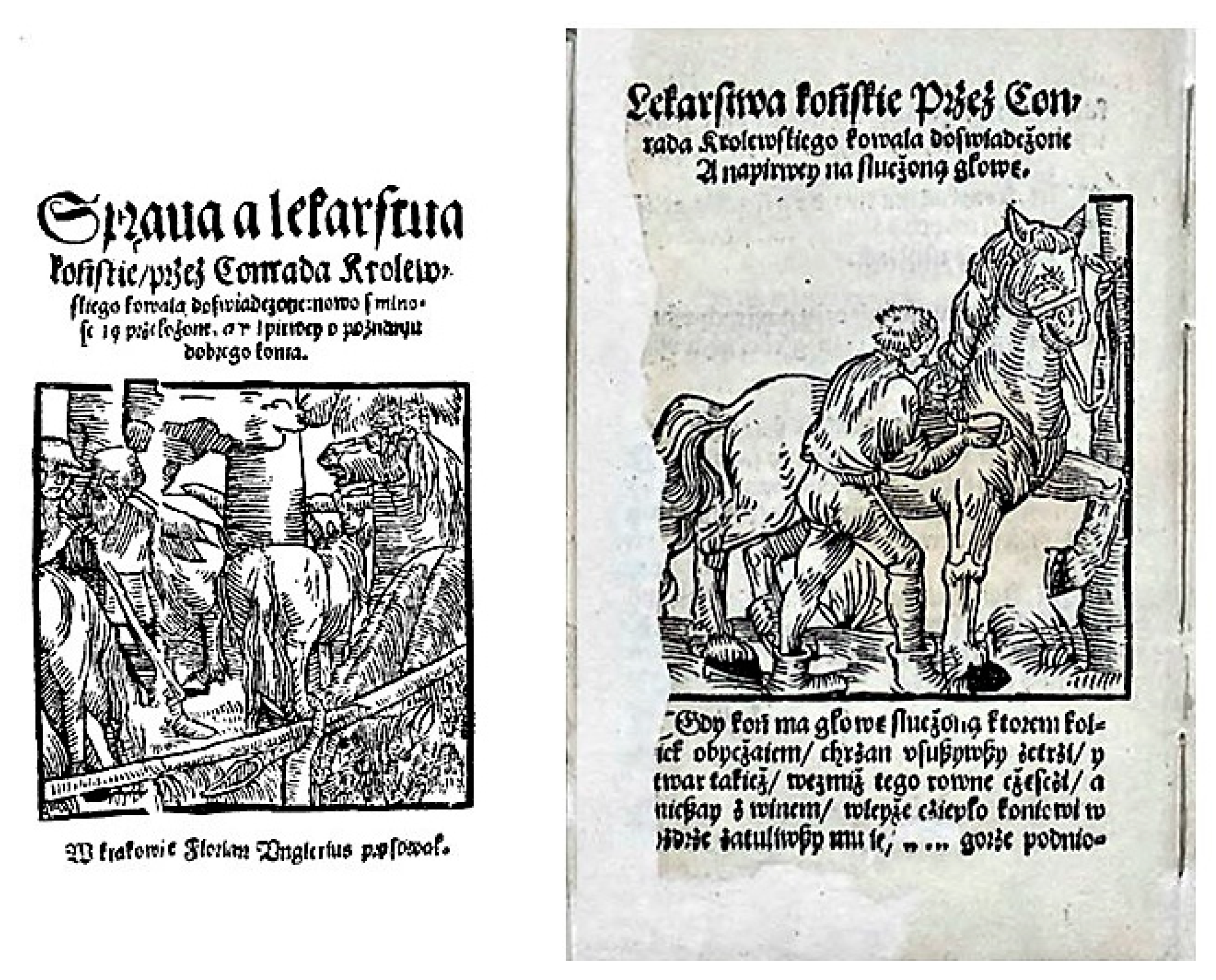 Animals 10 01487 g001