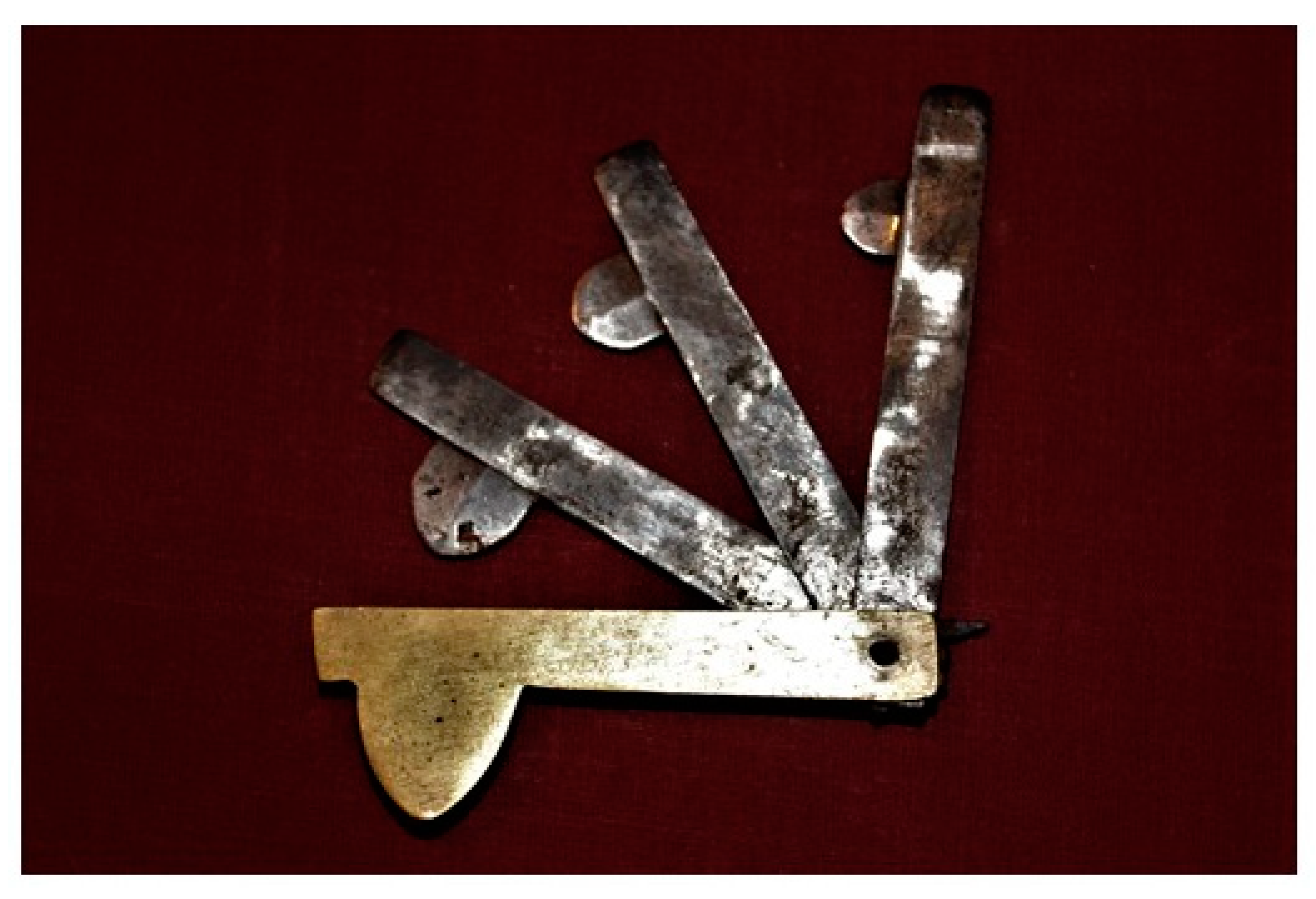 Animals 10 01487 g002