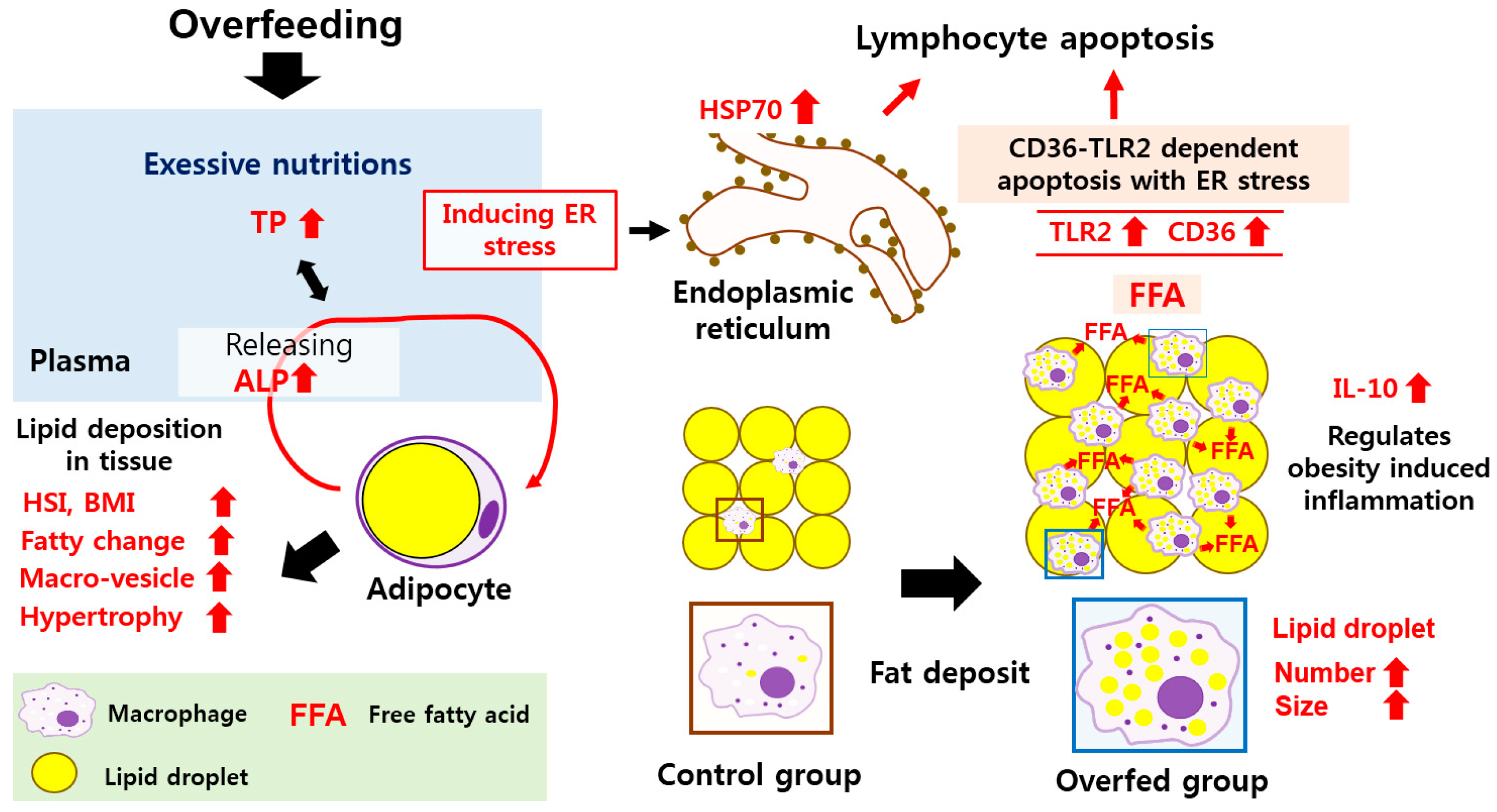 Animals 10 01499 g007