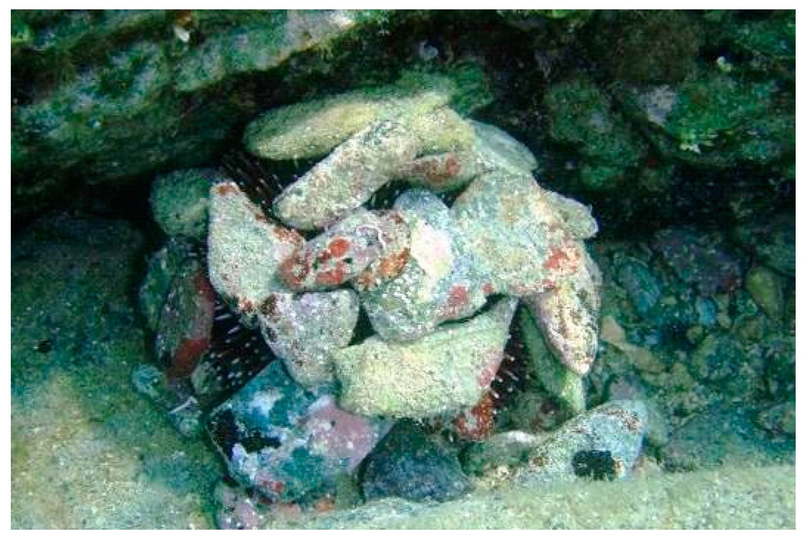 Animals 10 01506 g001 Animals 10 01506 g001