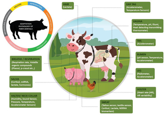 Animals | Free Full-Text | Transforming the Adaptation Physiology of Farm Animals through Sensors Animals | Free Full-Text | Transforming the Adaptation Physiology of Farm Animals through Sensors