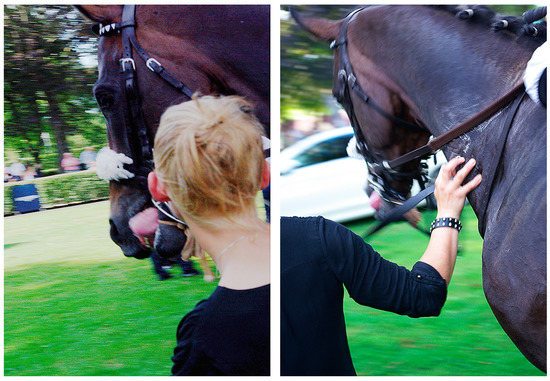 Animals Free Full Text Naturalness And The Legitimacy Of Thoroughbred Racing A Photo Elicitation Study With Industry Animal Advocacy Informants Html - Horse Racing Picture Frame 8×10 Animals Free Full Text Naturalness And The Legitimacy Of Thoroughbred Racing A Photo Elicitation Study With Industry Animal Advocacy Informants Html - Horse Racing Picture Frame 8×10