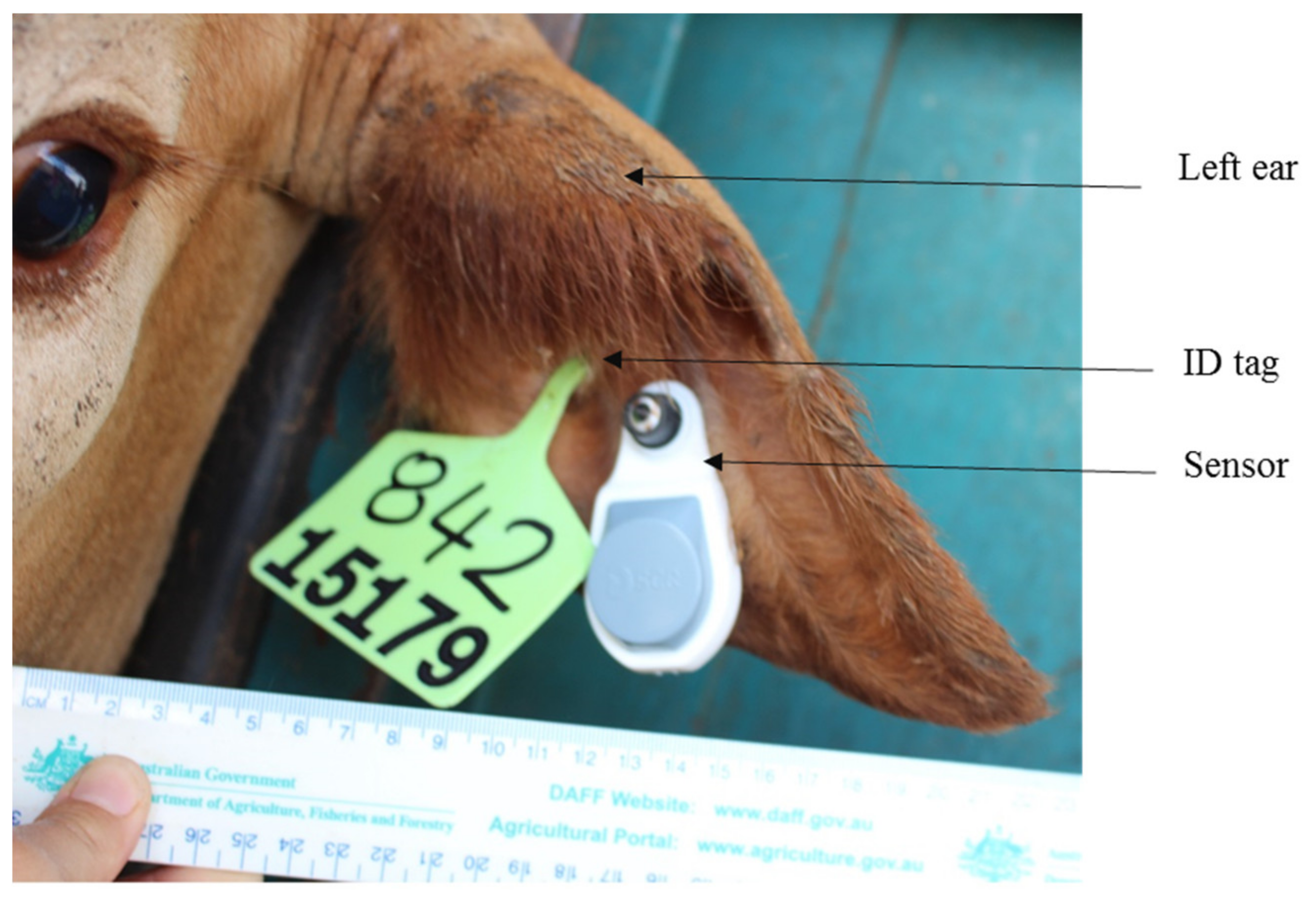 Animals 10 01518 g001