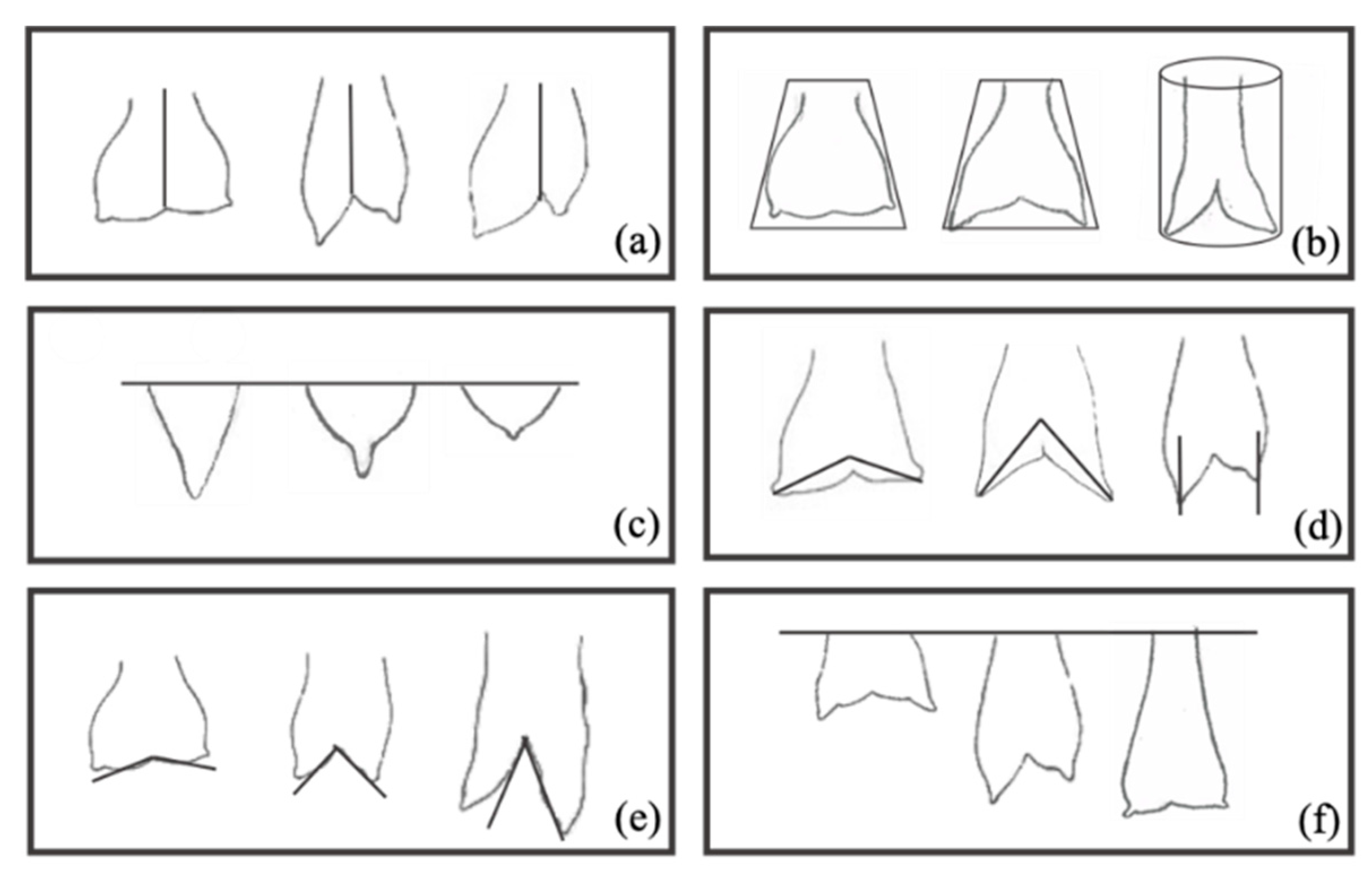 Animals 10 01534 g002 Animals 10 01534 g002