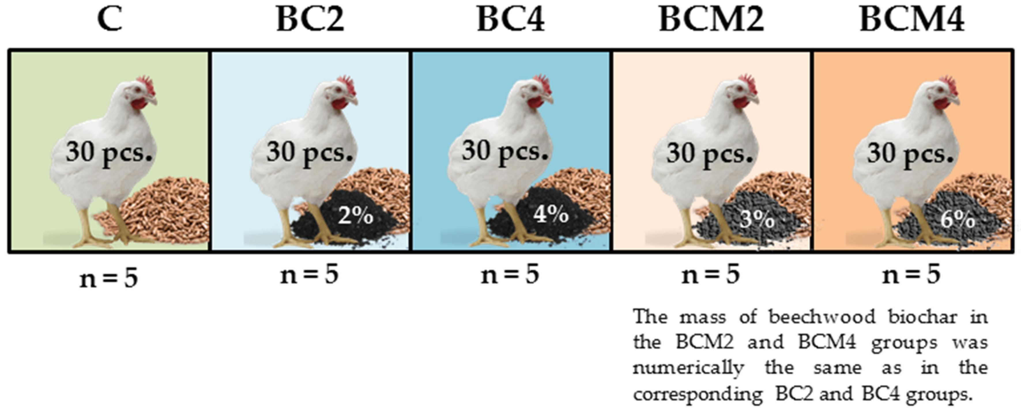 Animals Free FullText Effect of Biochar Diet Supplementation on
