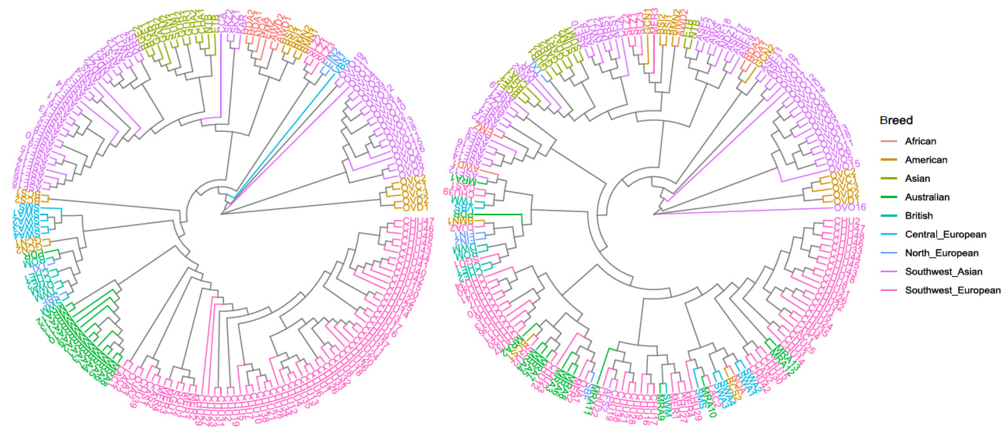 Animals 10 01542 g003 Animals 10 01542 g003