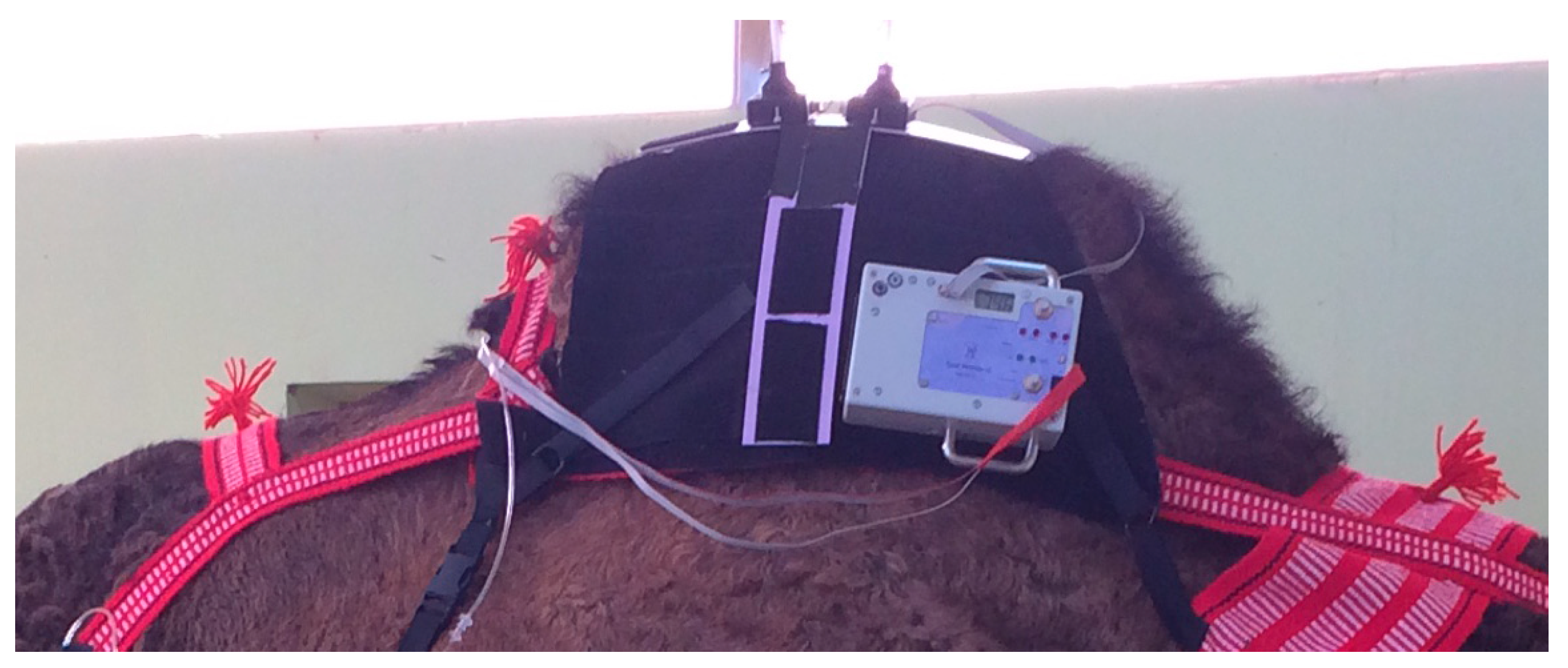 Animals 10 01556 g004