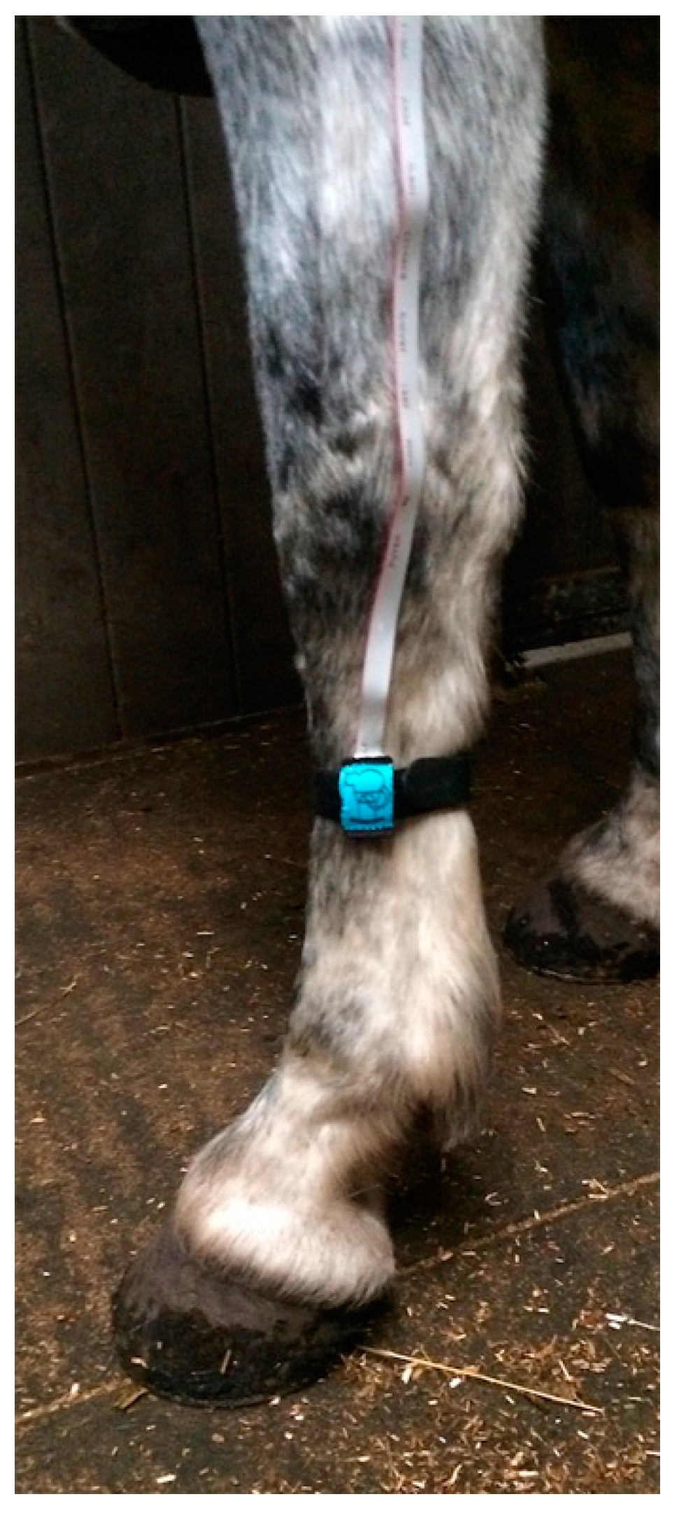 Animals 10 01556 g006