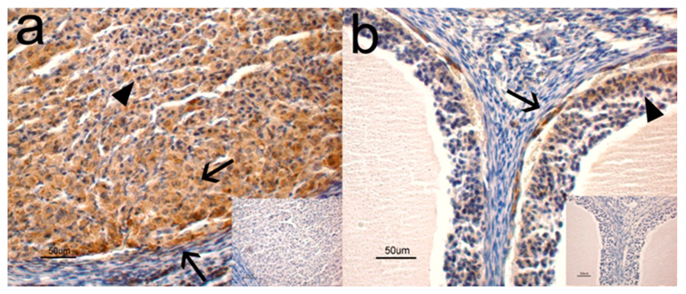 Animals 10 01558 g001