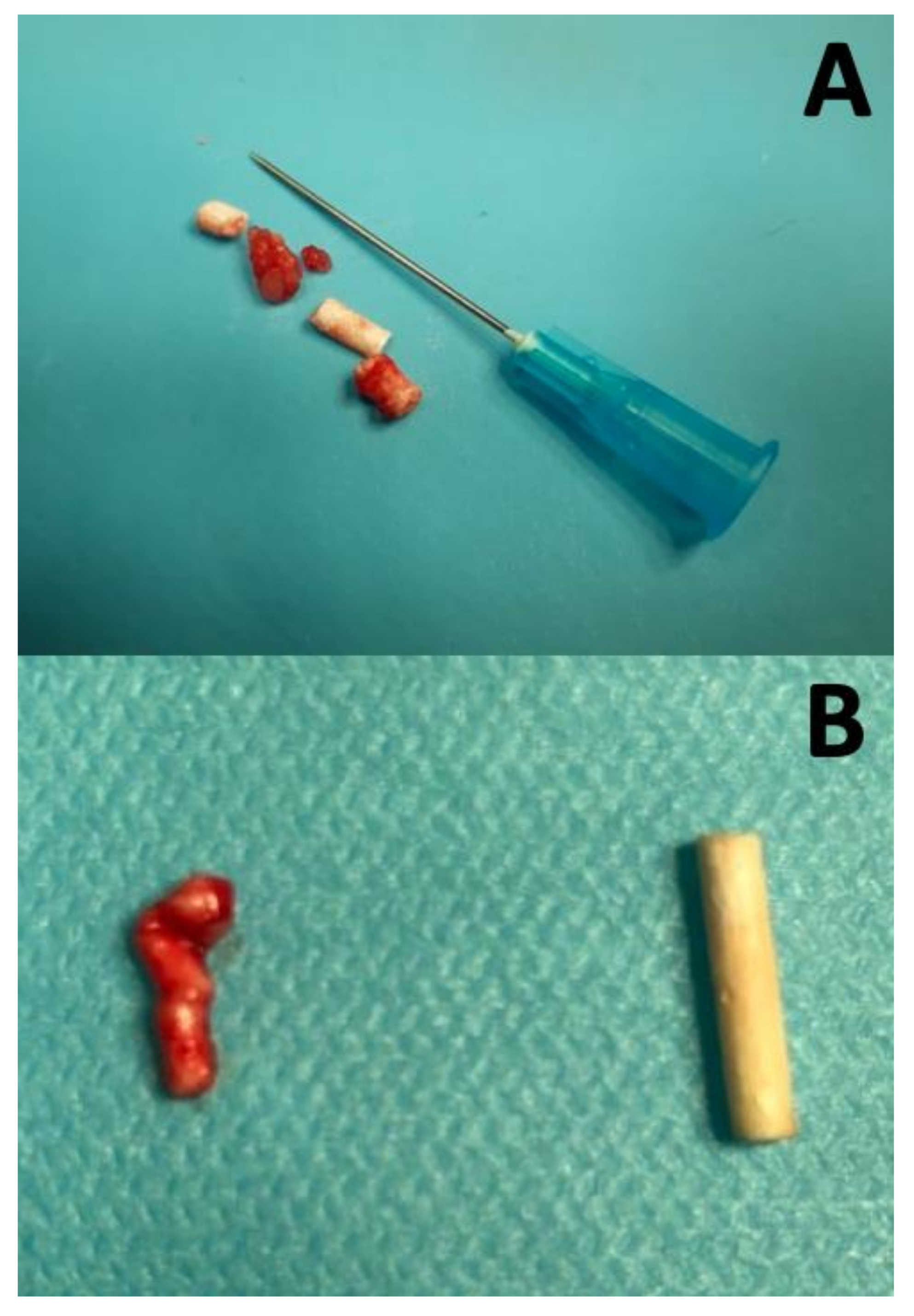 Animals 10 01559 g001