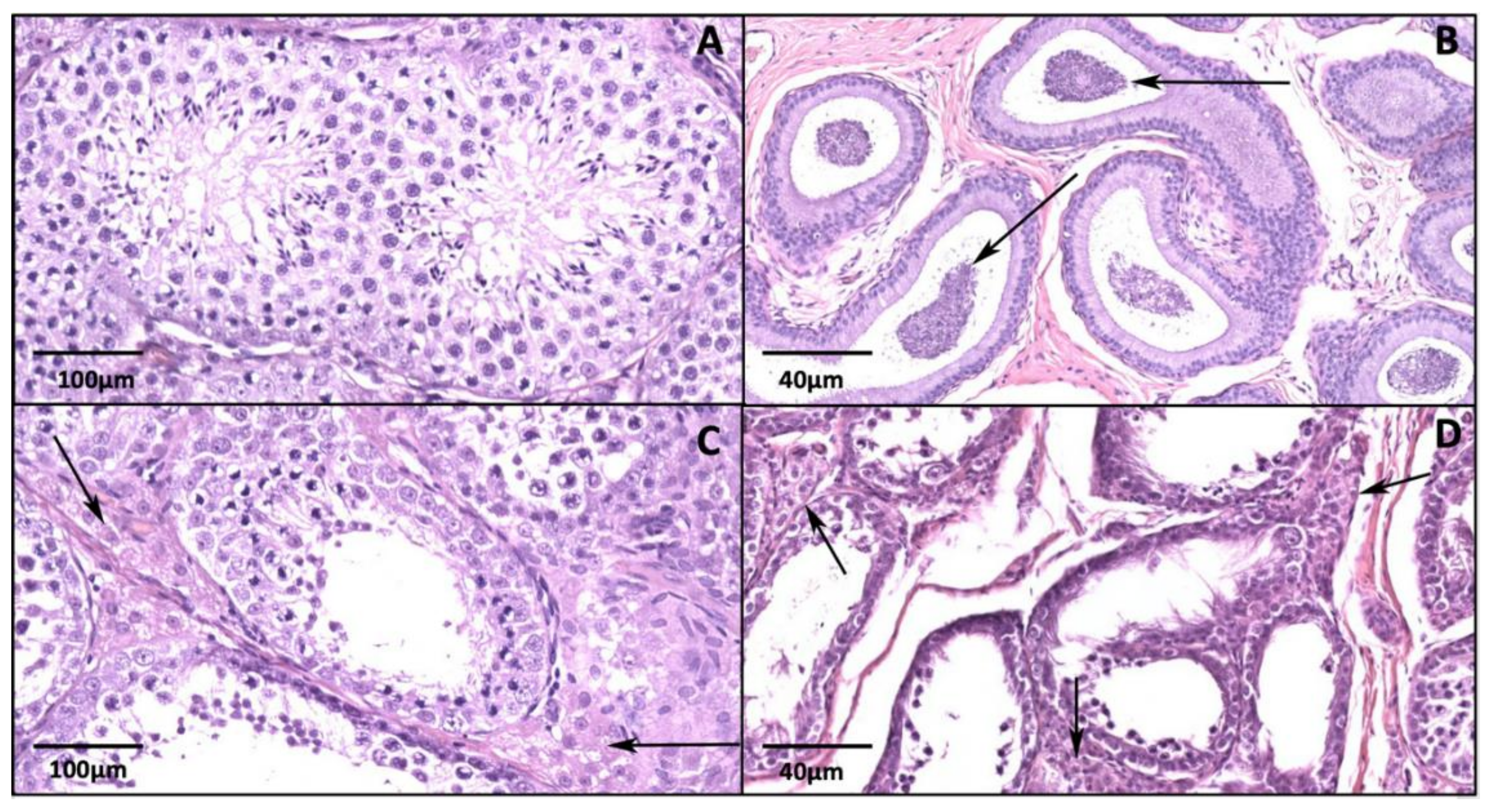 Animals 10 01559 g003