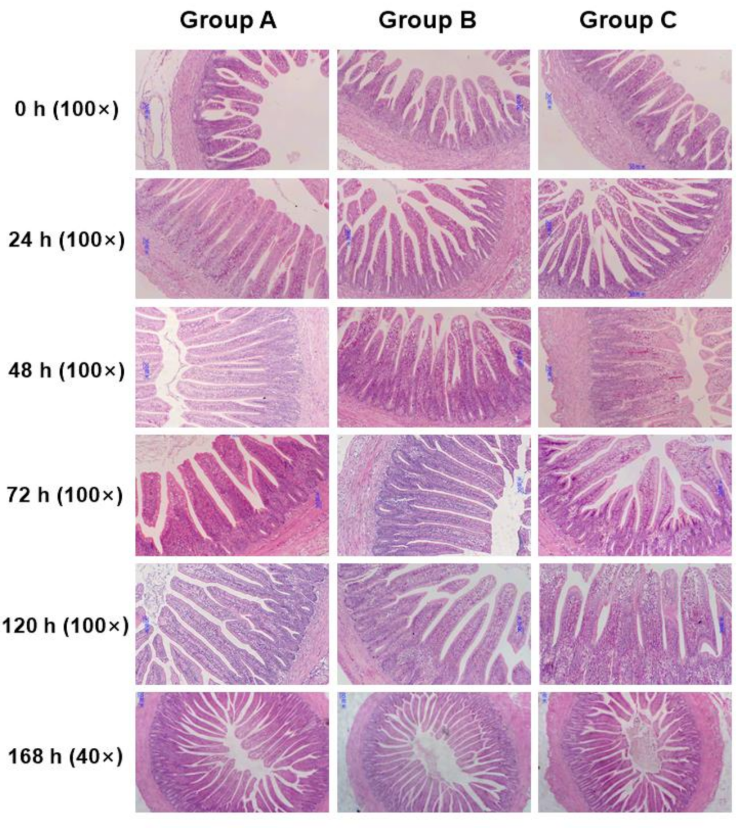 Animals 10 01568 g004 Animals 10 01568 g004