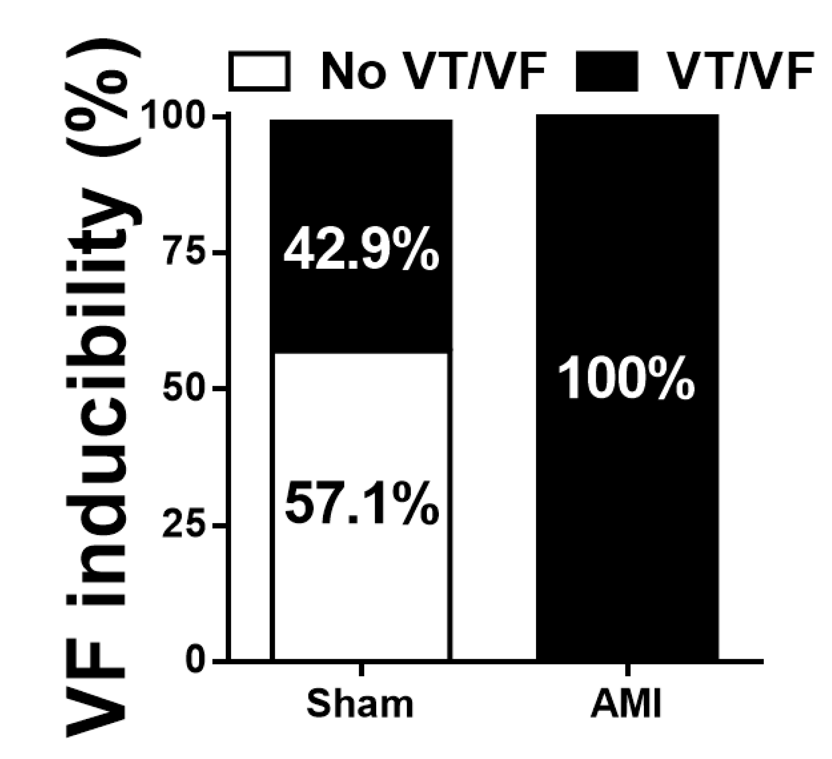 Animals Free Full Text Development And Long Term Follow Up Of An Experimental Model Of Myocardial Infarction In Rabbits Html