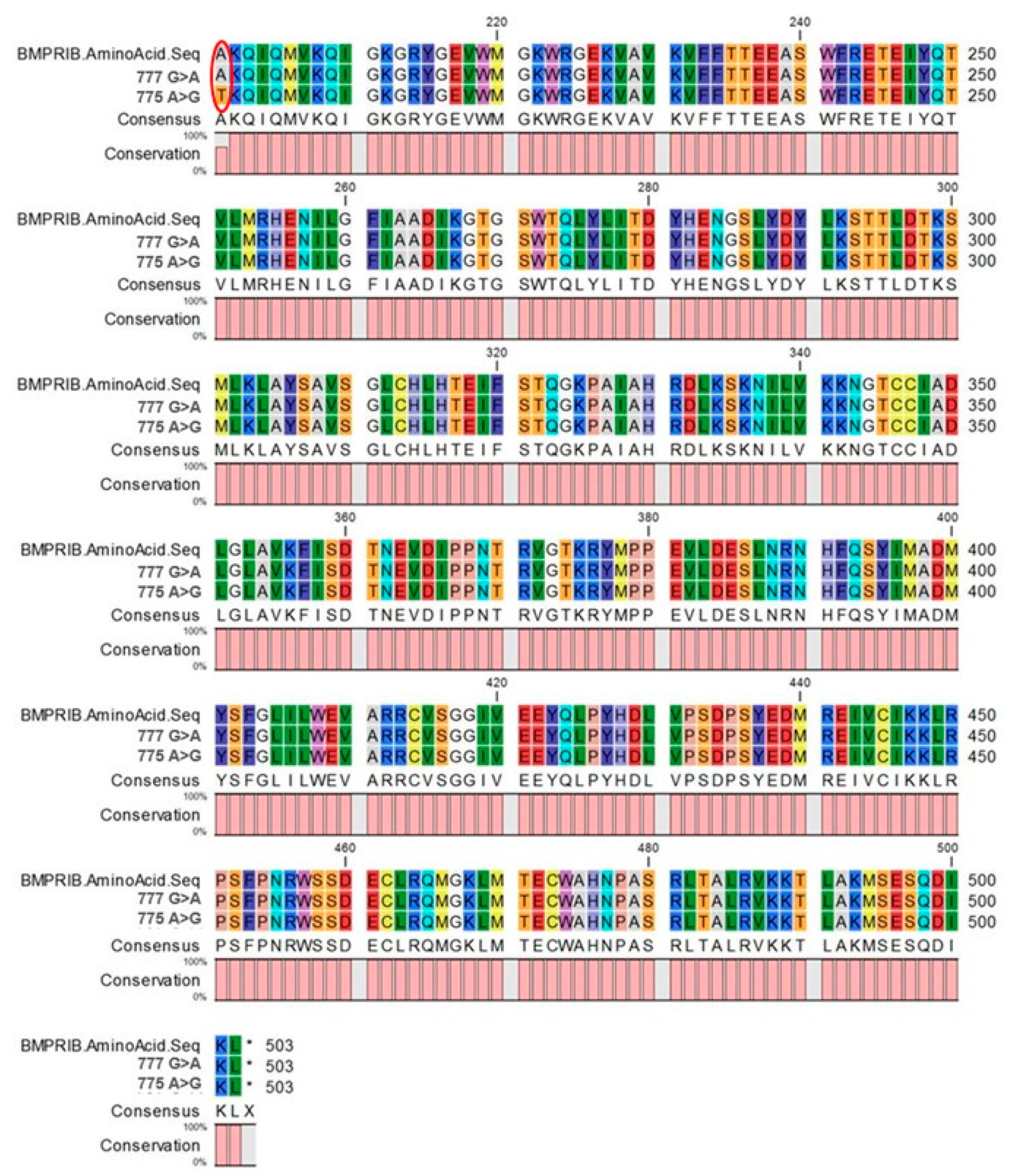 Animals 10 01582 g002 Animals 10 01582 g002