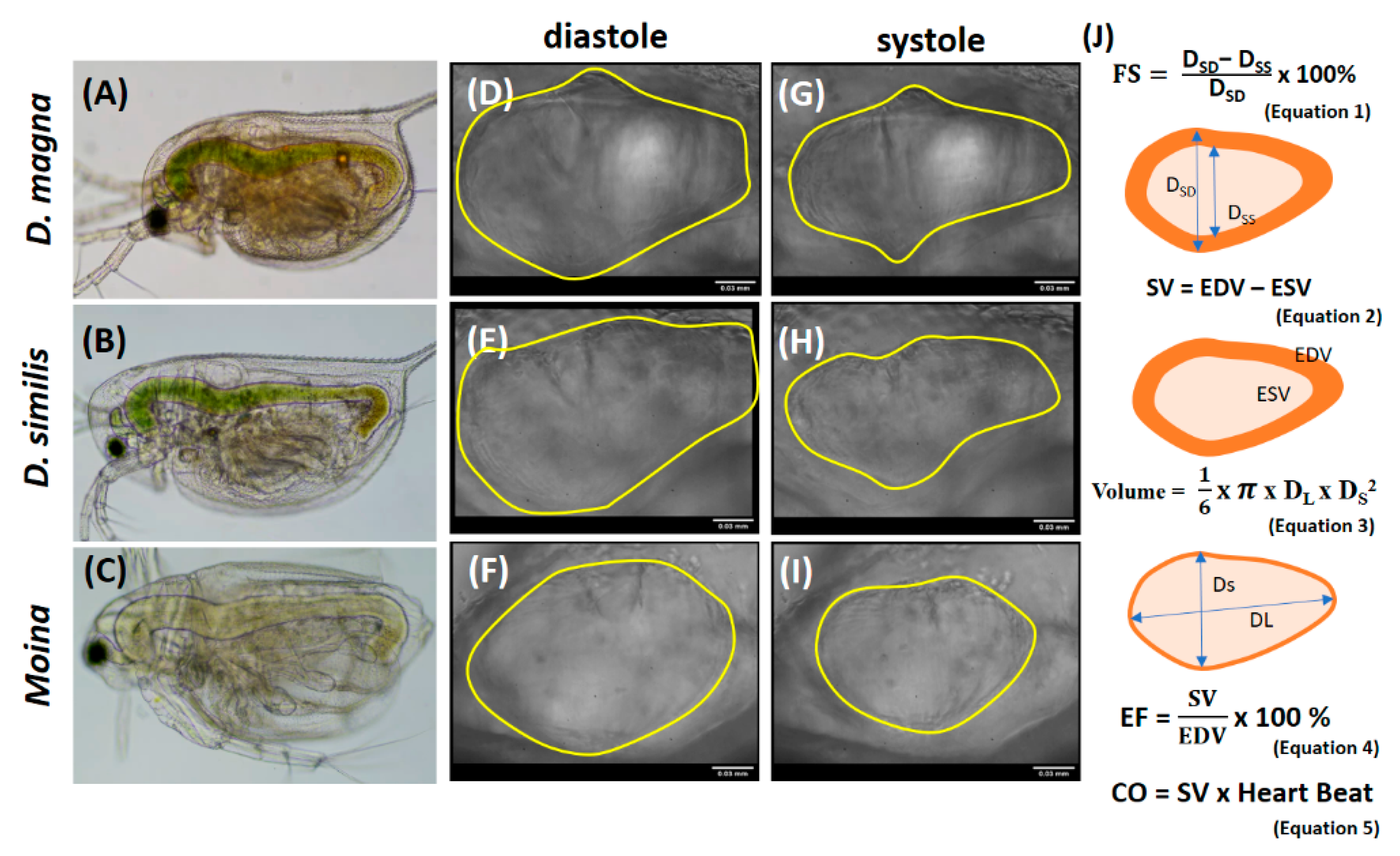 Animals 10 01587 g001 Animals 10 01587 g001